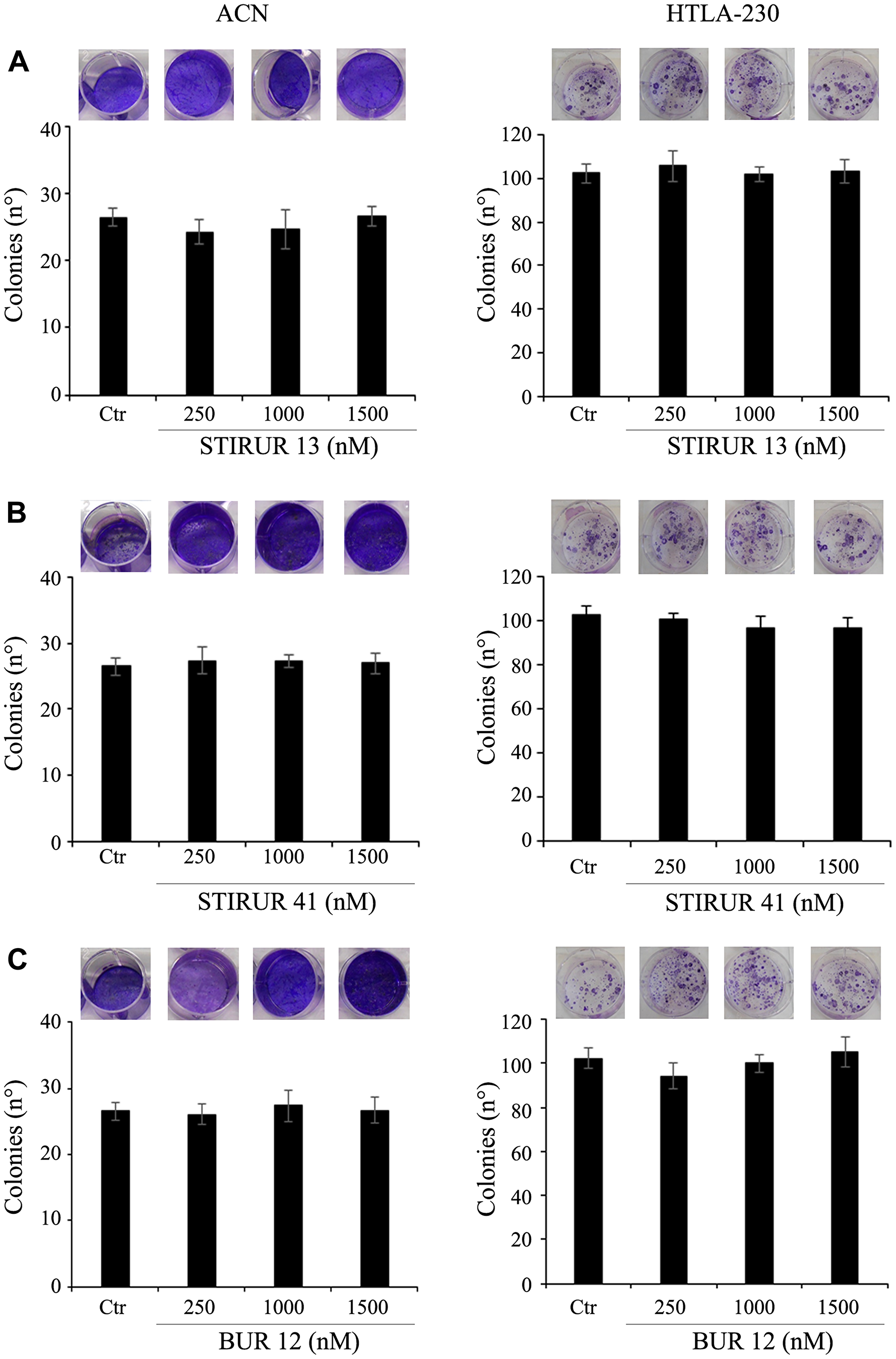 STIRUR 13, STIRUR 41 and BUR 12 did not affect the clonogenic potential of ACN and HTLA-230 cells