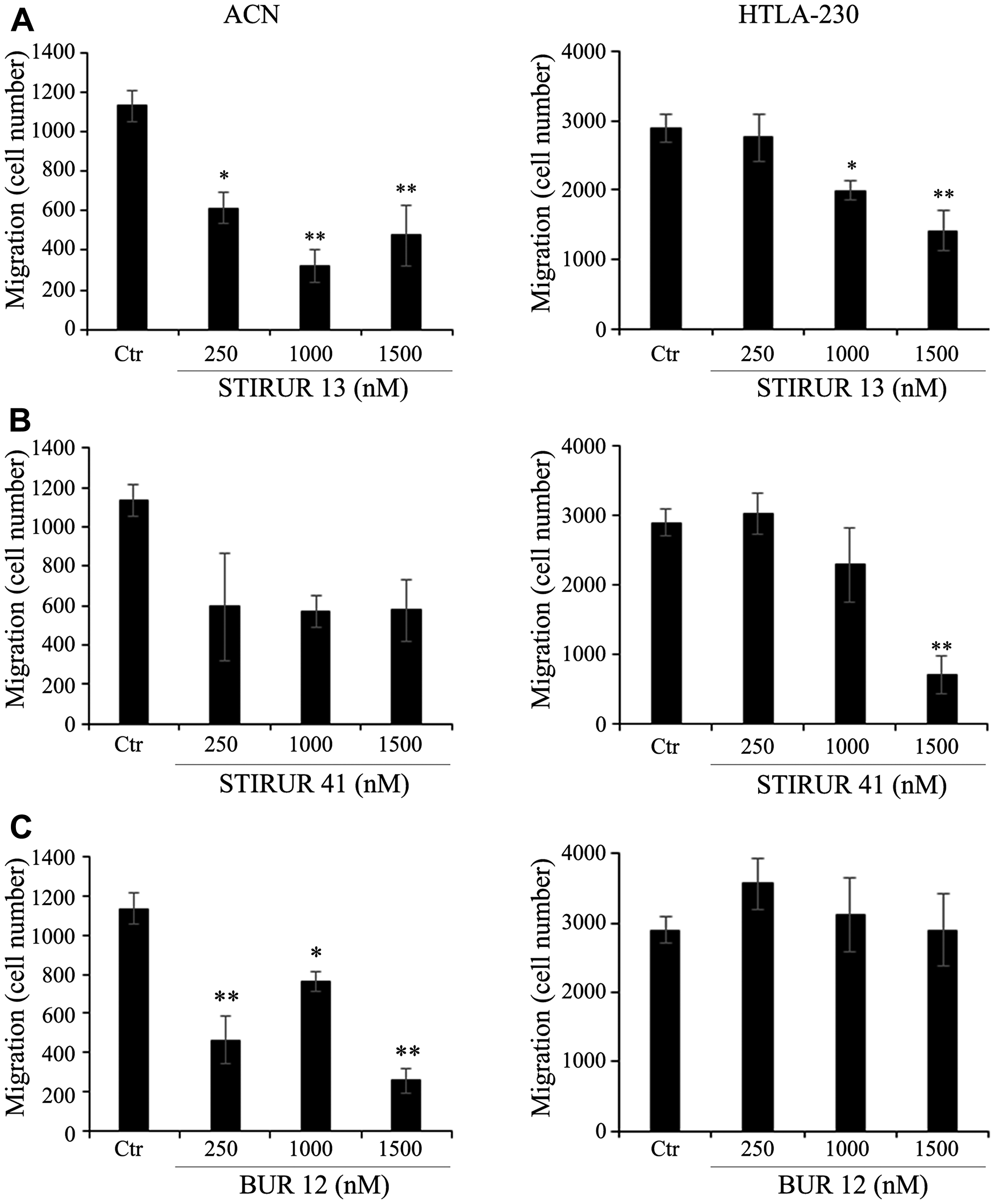 Effects of STIRUR 13, STIRUR 41 and BUR 12 on the migration of ACN and HTLA-230 cells