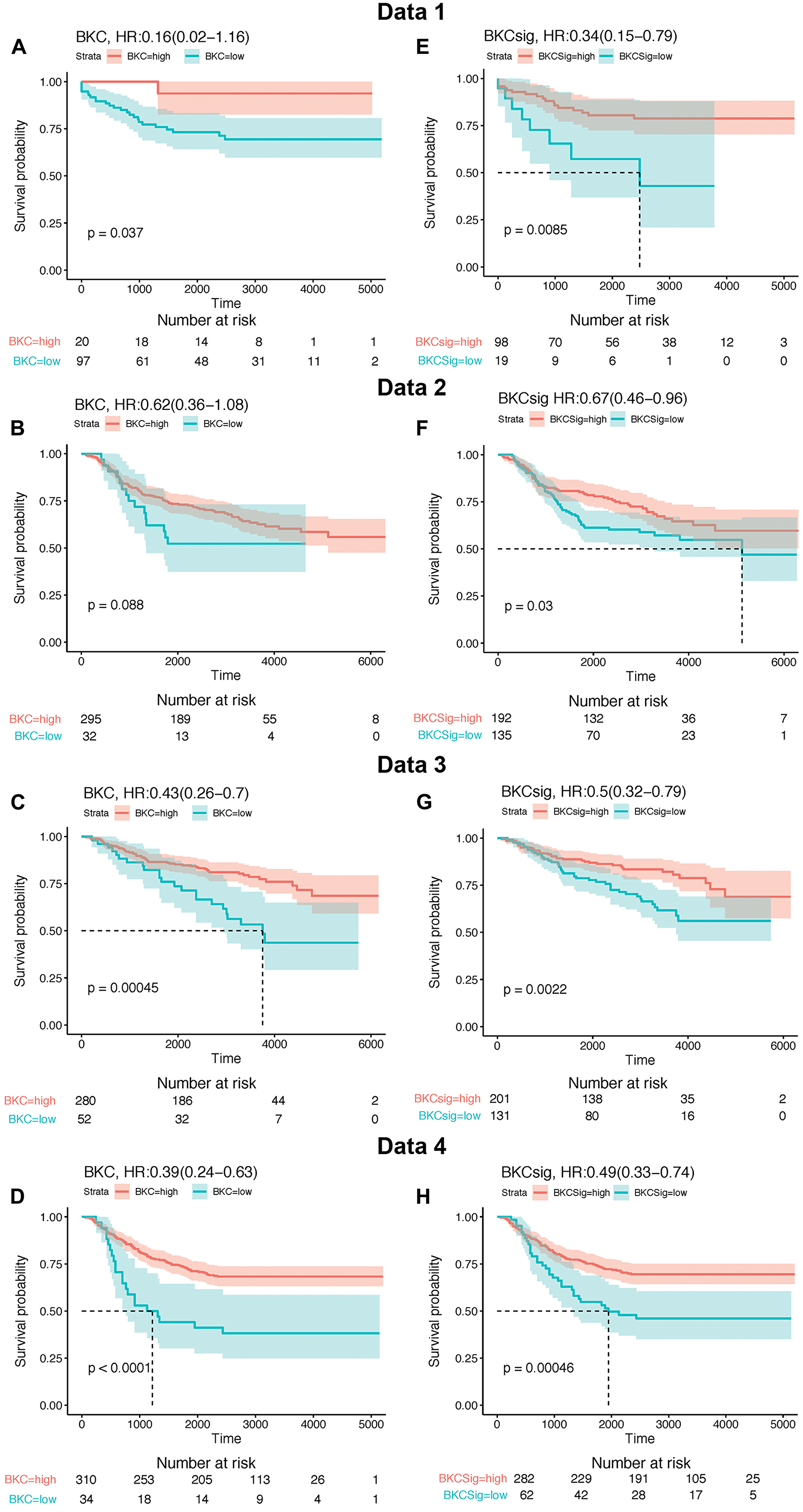 Kaplan–Meier (KM) survival analysis of BKC gene and BKCsig gene signature using four independent publicly available breast cancer relapse free survival patient cohorts named as Data 1, Data 2, Data 3, and Data 4