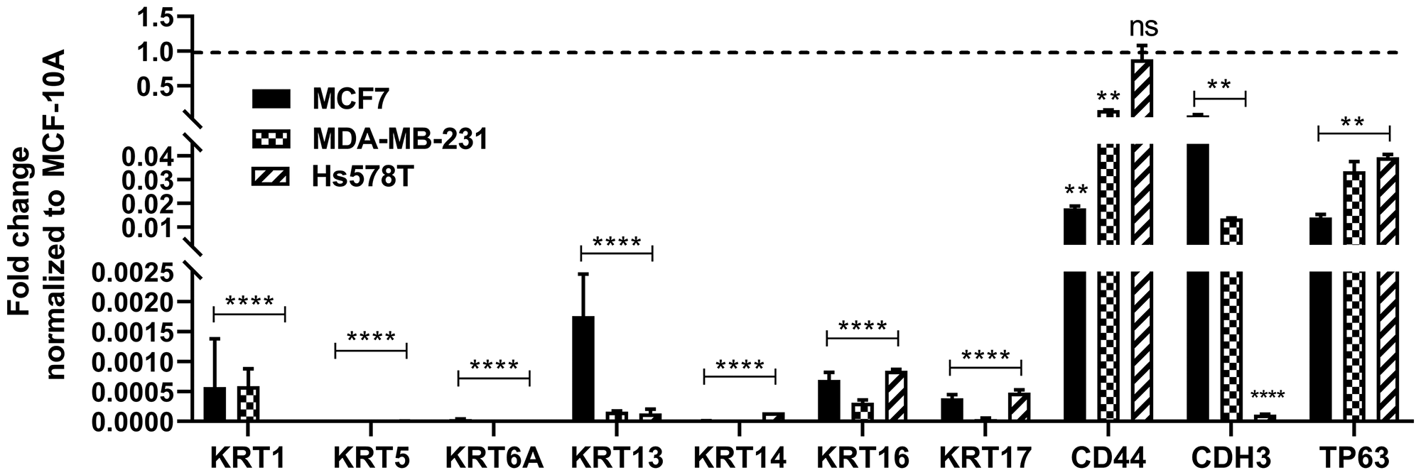 Expression of basal markers in breast cancer cell lines