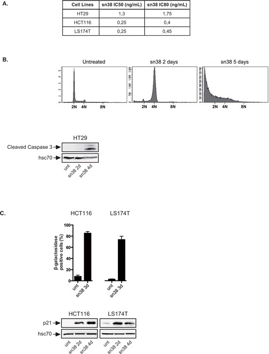 fig1