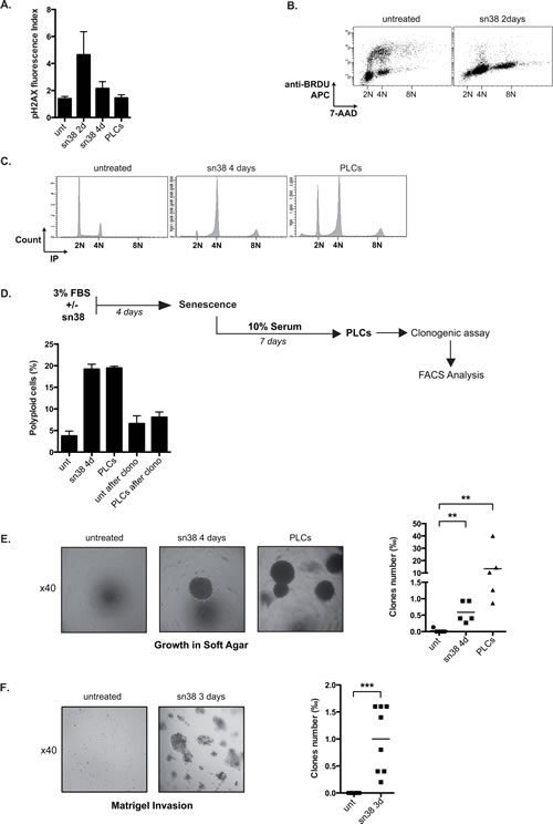 fig3