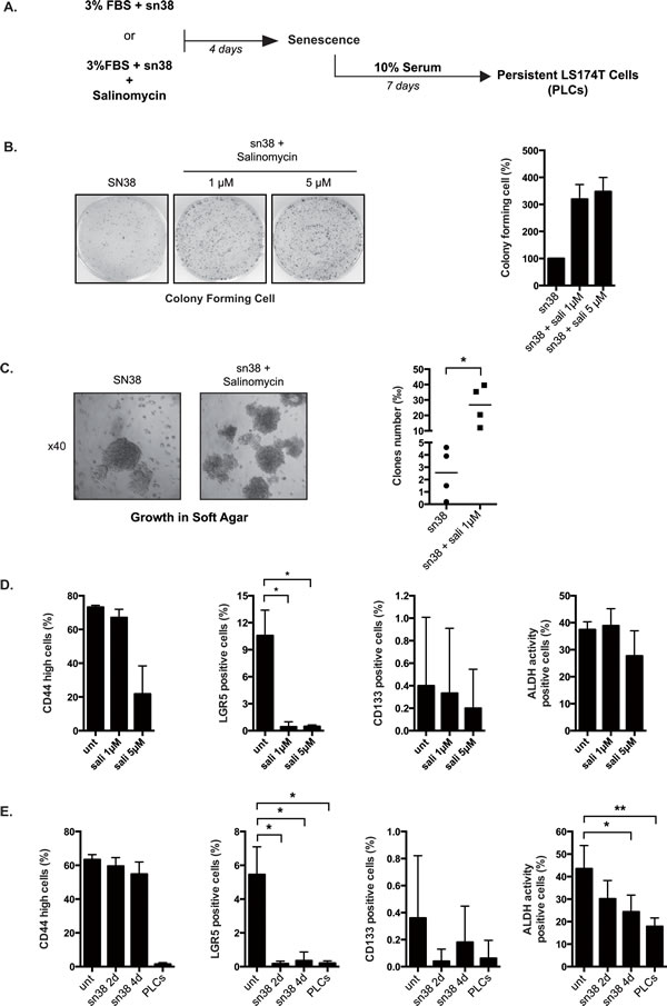 fig4