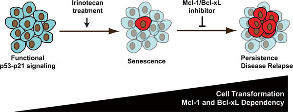 FIG9