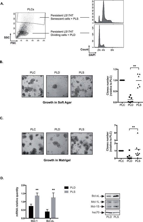fig8