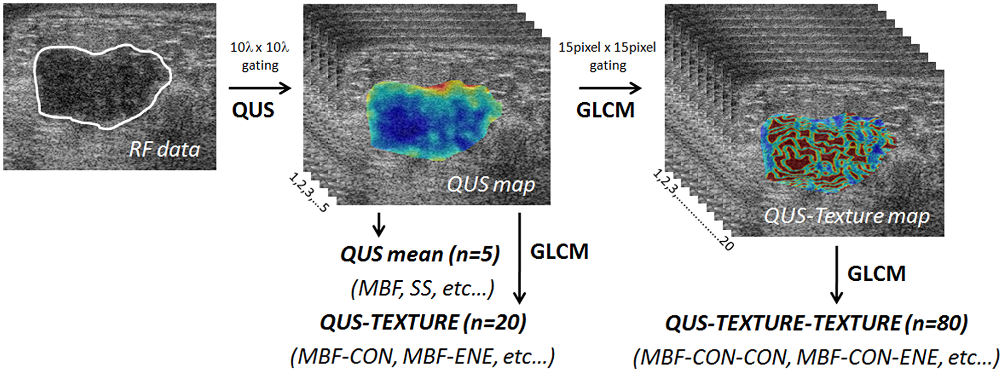 Generation of parametric and texture maps from radiofrequency data