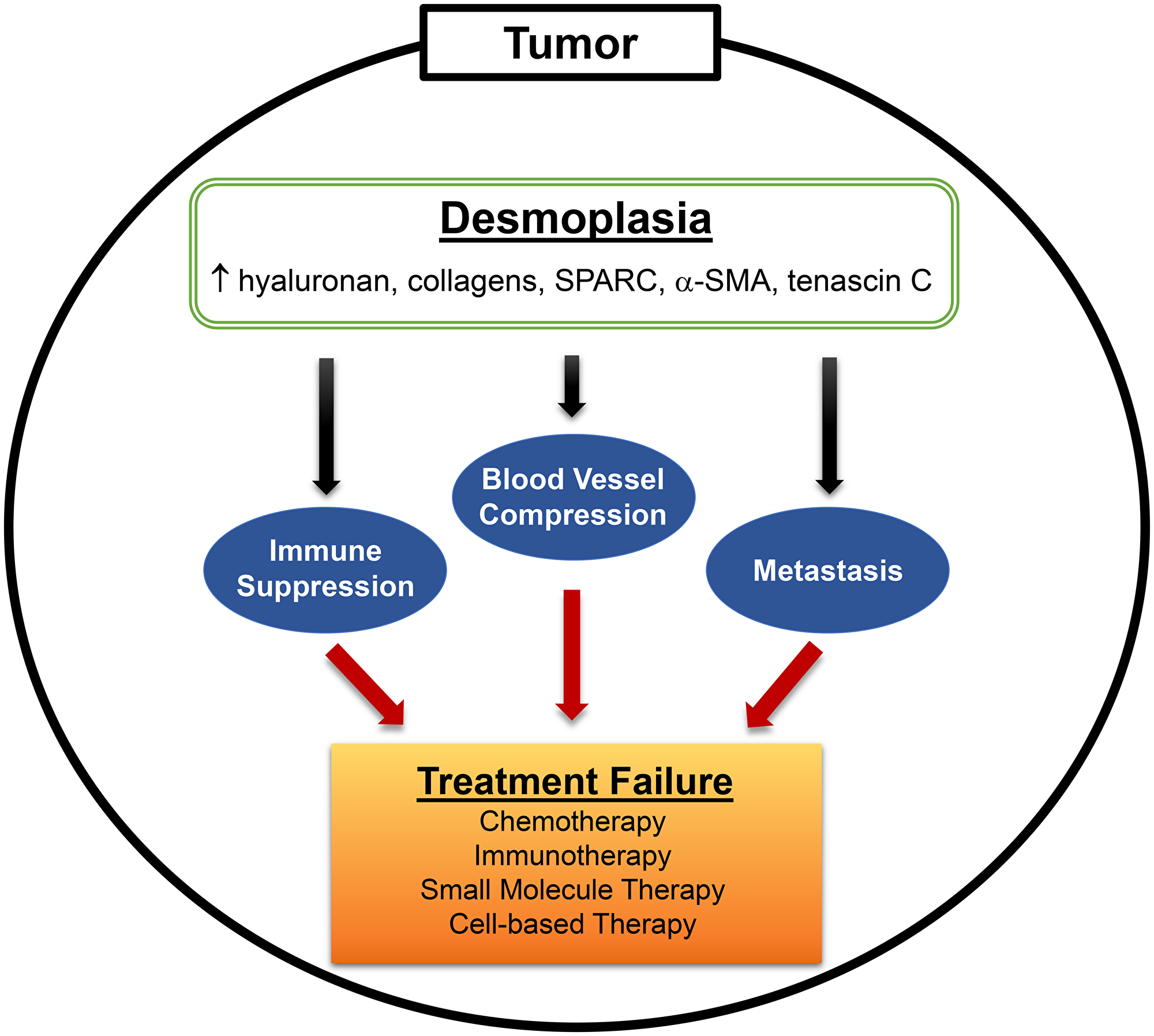 Desmoplasia is a major hallmark of PDAC