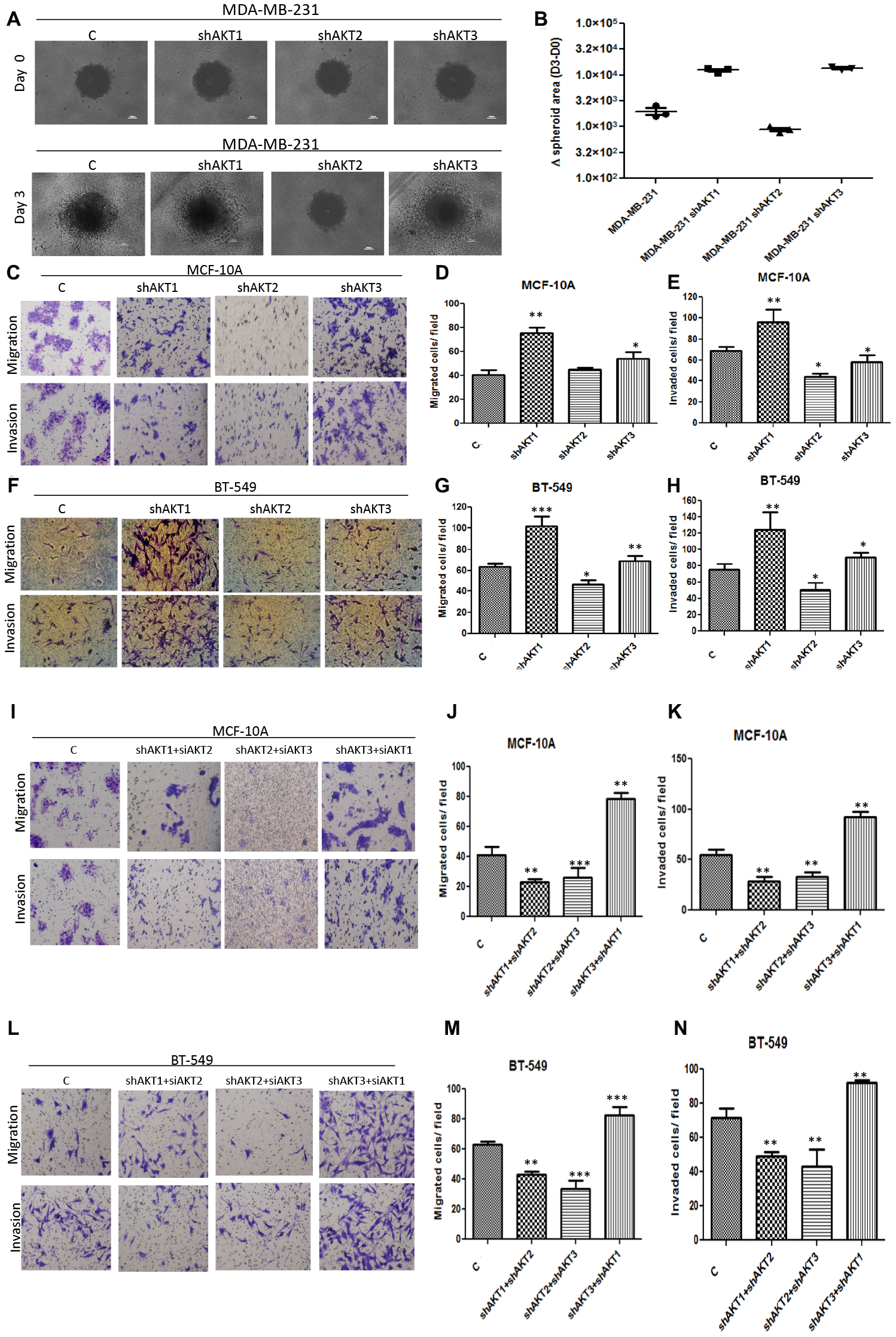 Correlation of AKT2 with cell aggressiveness