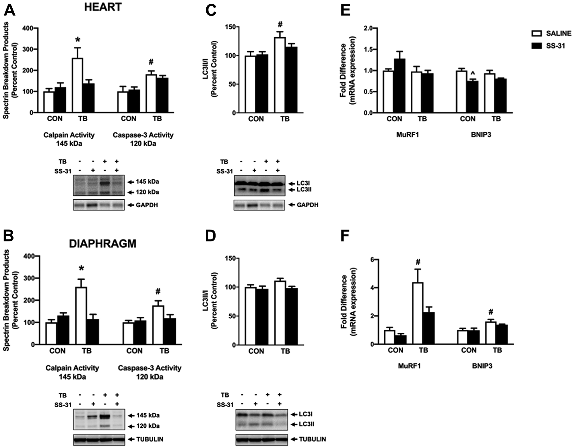 Markers of proteolytic activity