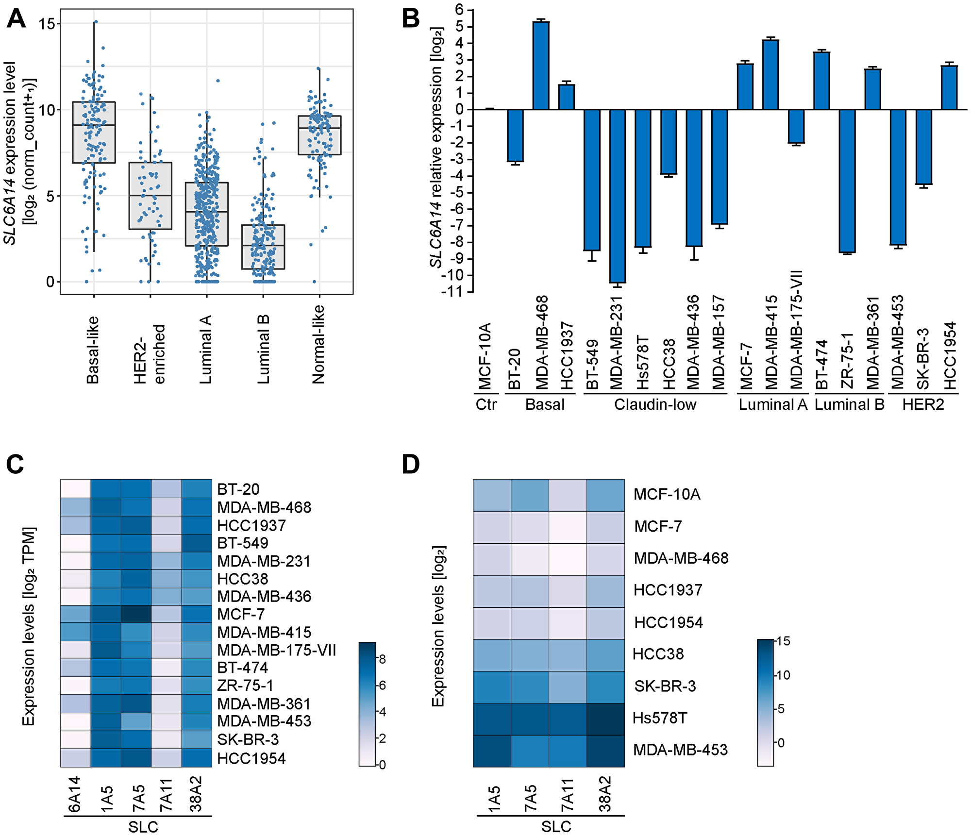 SLC6A14 expression levels in human breast tumors and cancer cell lines