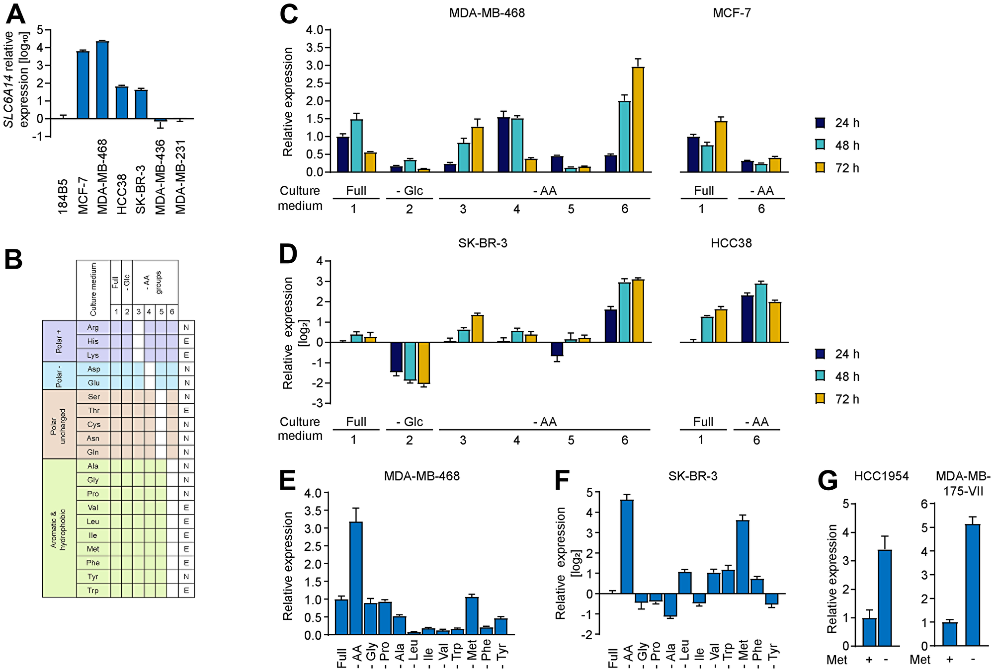 Changes in SLC6A14 expression levels upon amino acid stress