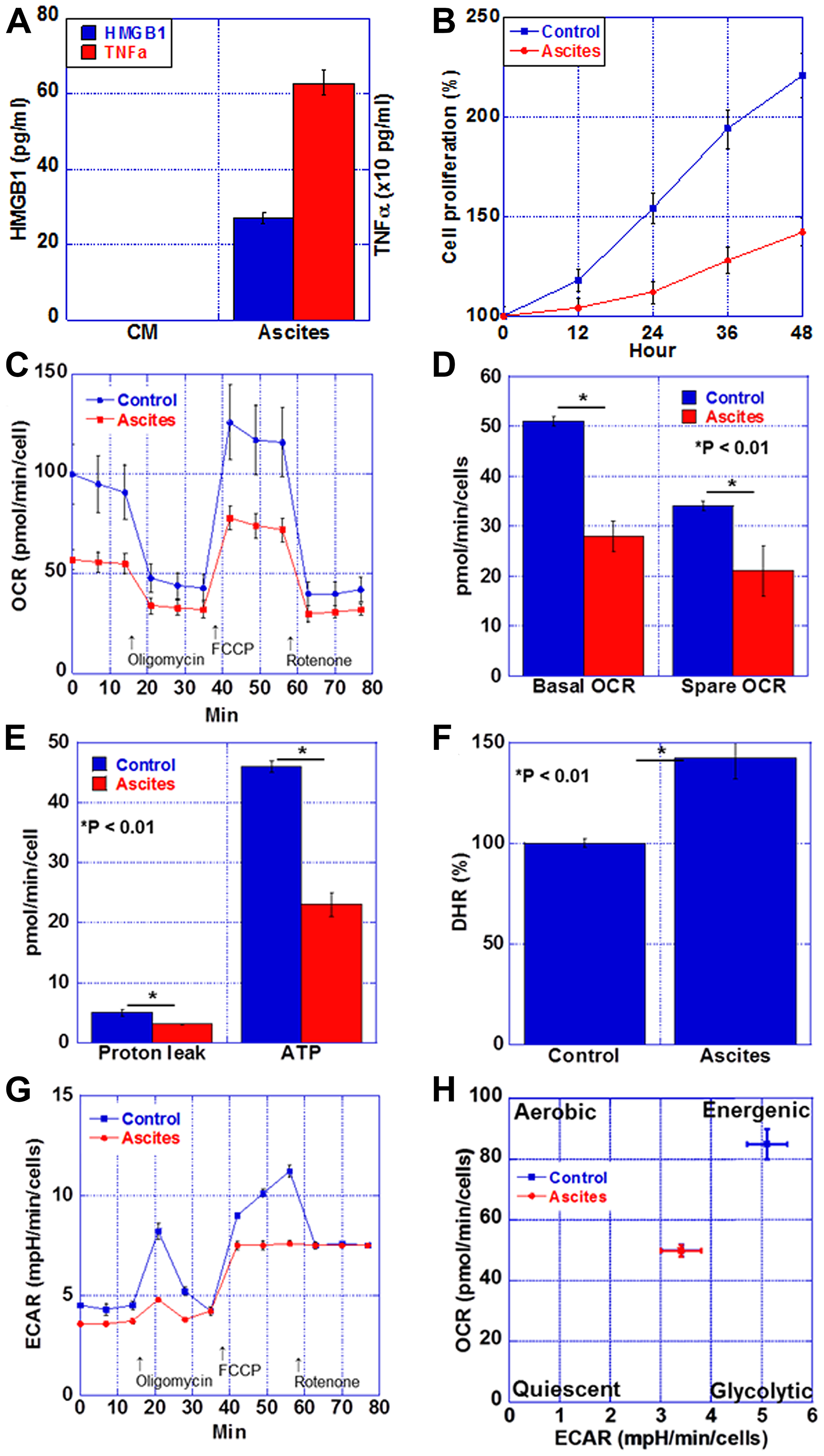 Energy metabolism in the myocardium of CT26-inoculated BALB/c mice