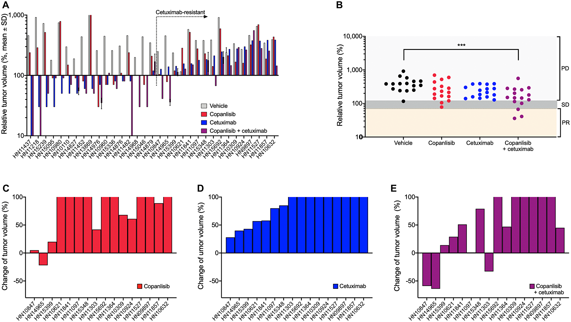 In vivo antitumor efficacy of copanlisib and cetuximab in the panel of HNSCC PDX models