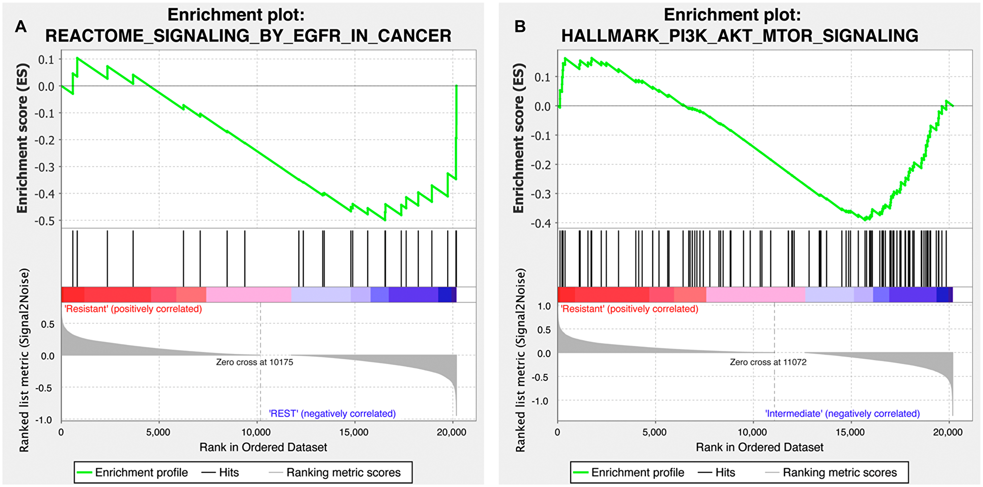 Gene set enrichment plot of the EGFR and PI3K-AKT-mTOR signaling pathways for the copanlisib and cetuximab cohorts