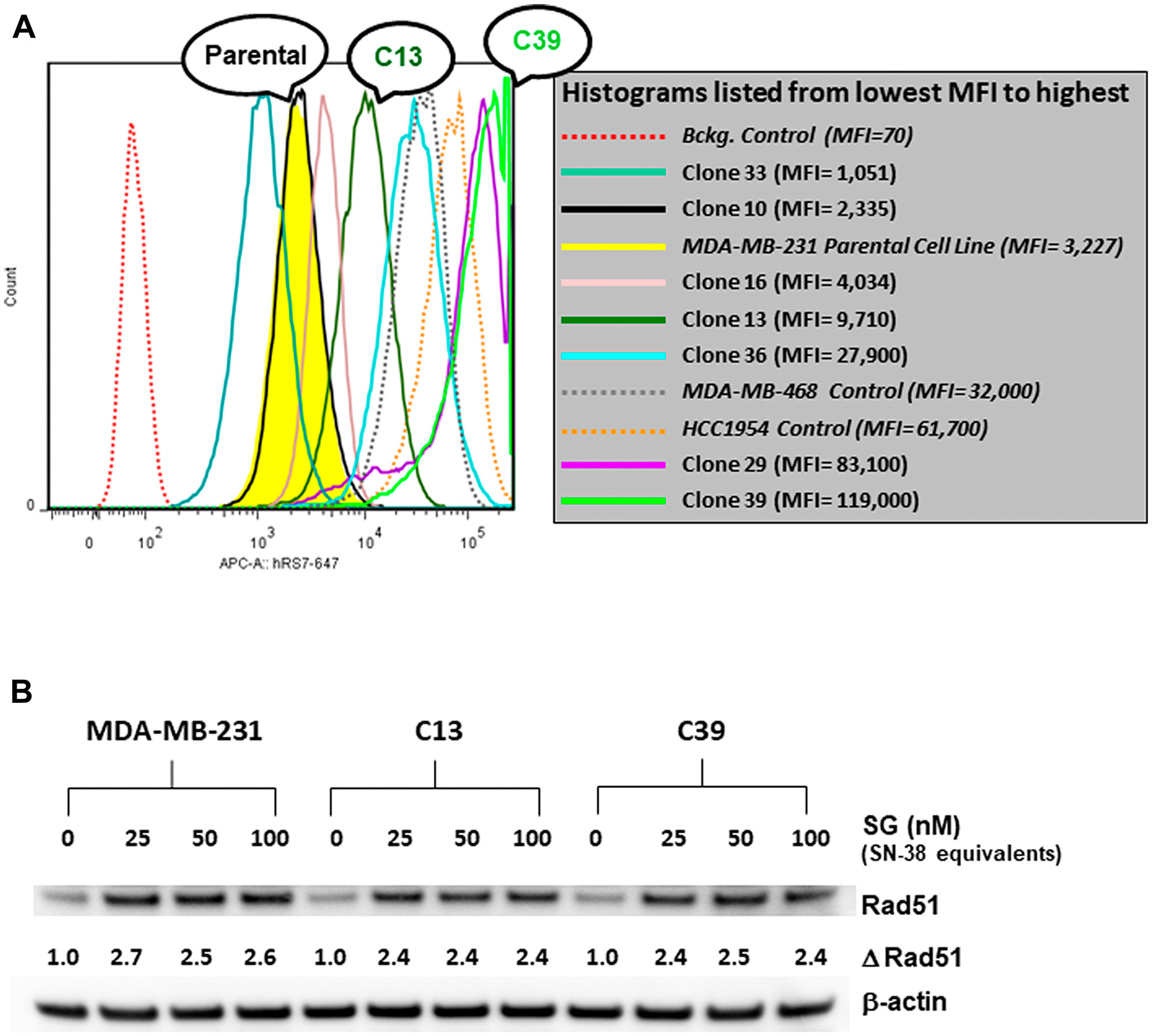 FACS analysis of various MDA-MB-231 Trop-2-transfectants and assessment of SG-mediated changes in Rad51 expression