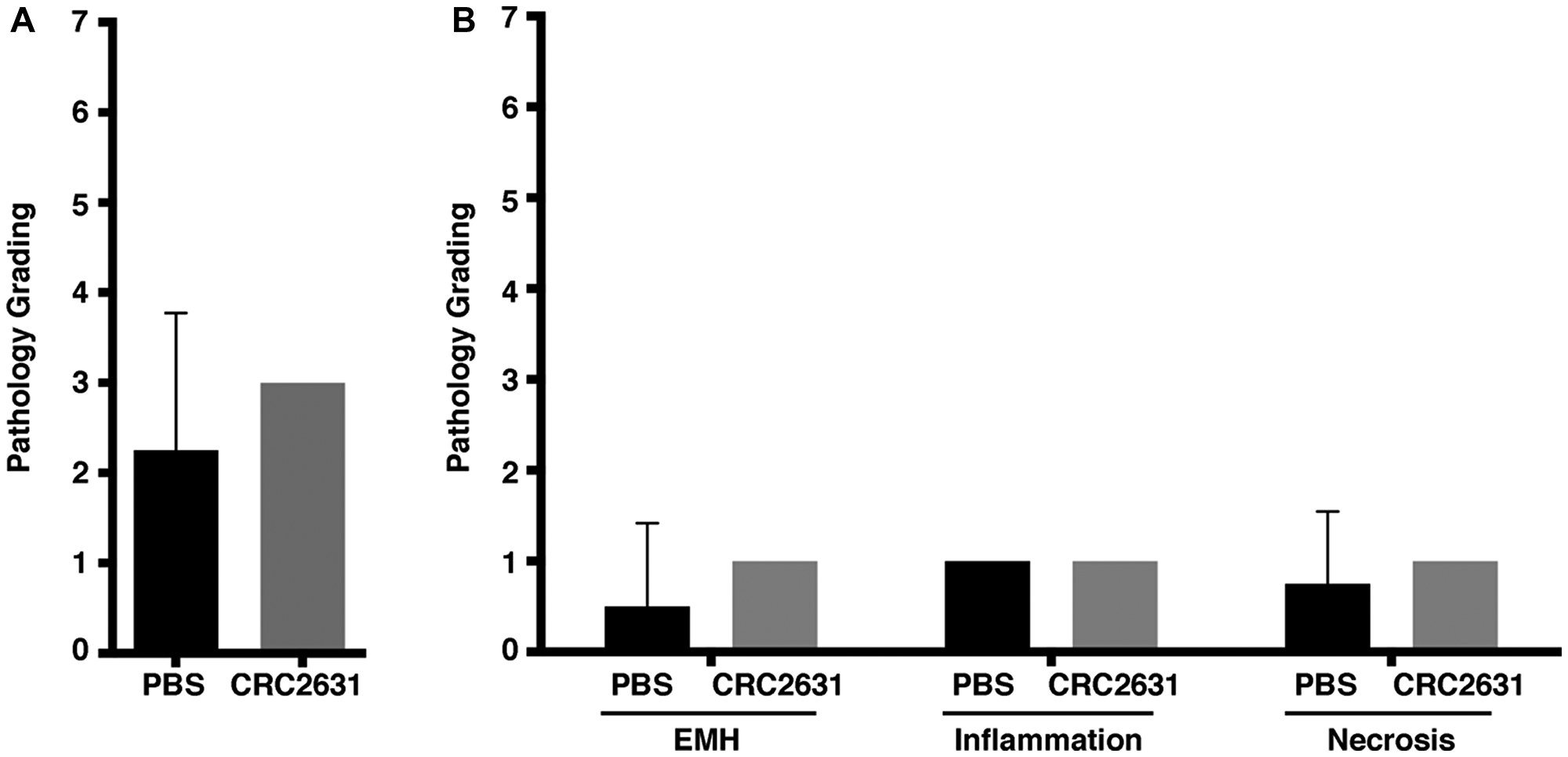 Histopathological analysis of non-targeted liver tissues in CRC2631 administered B6FVB TRAMP (+) mice
