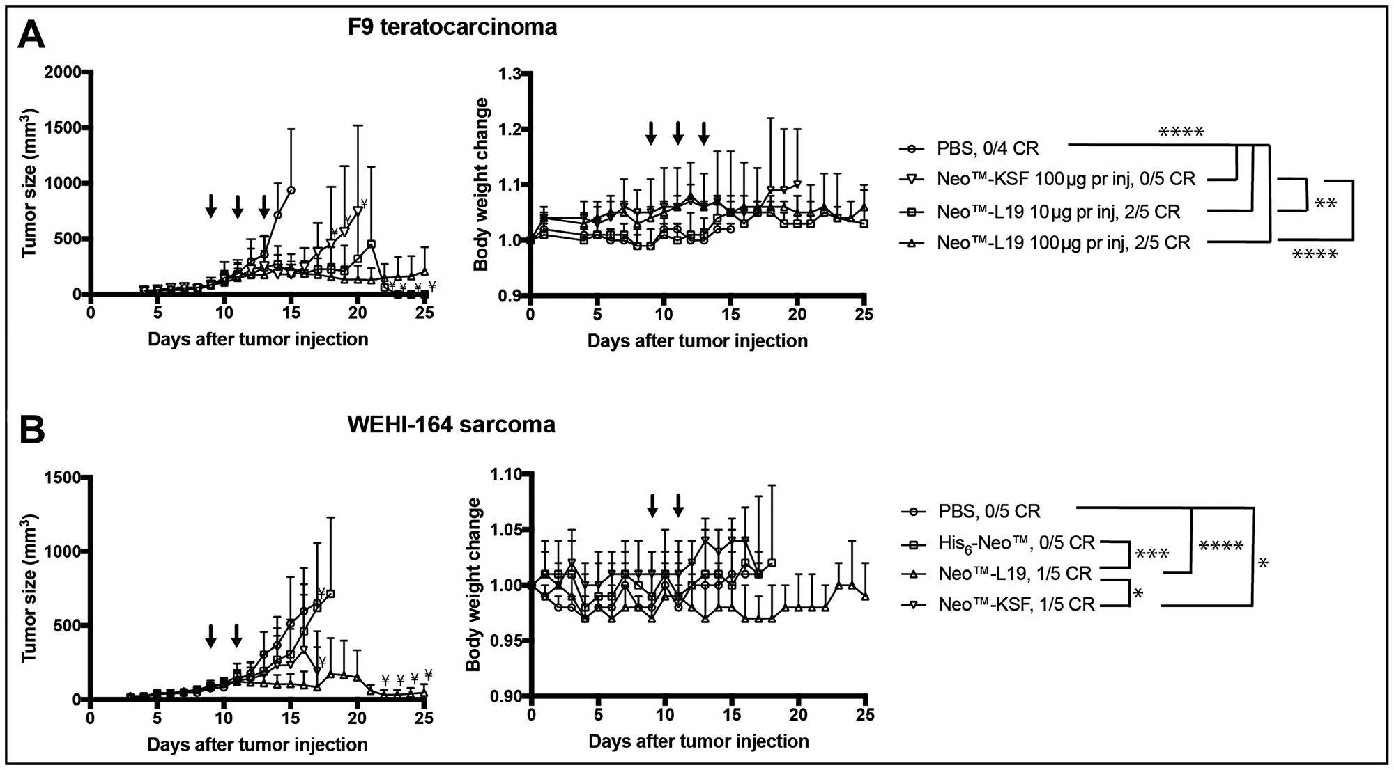 Activity of Neo™-L19 in F9 teratocarcinoma or WEHI-164 fibrosarcoma tumor bearing mice