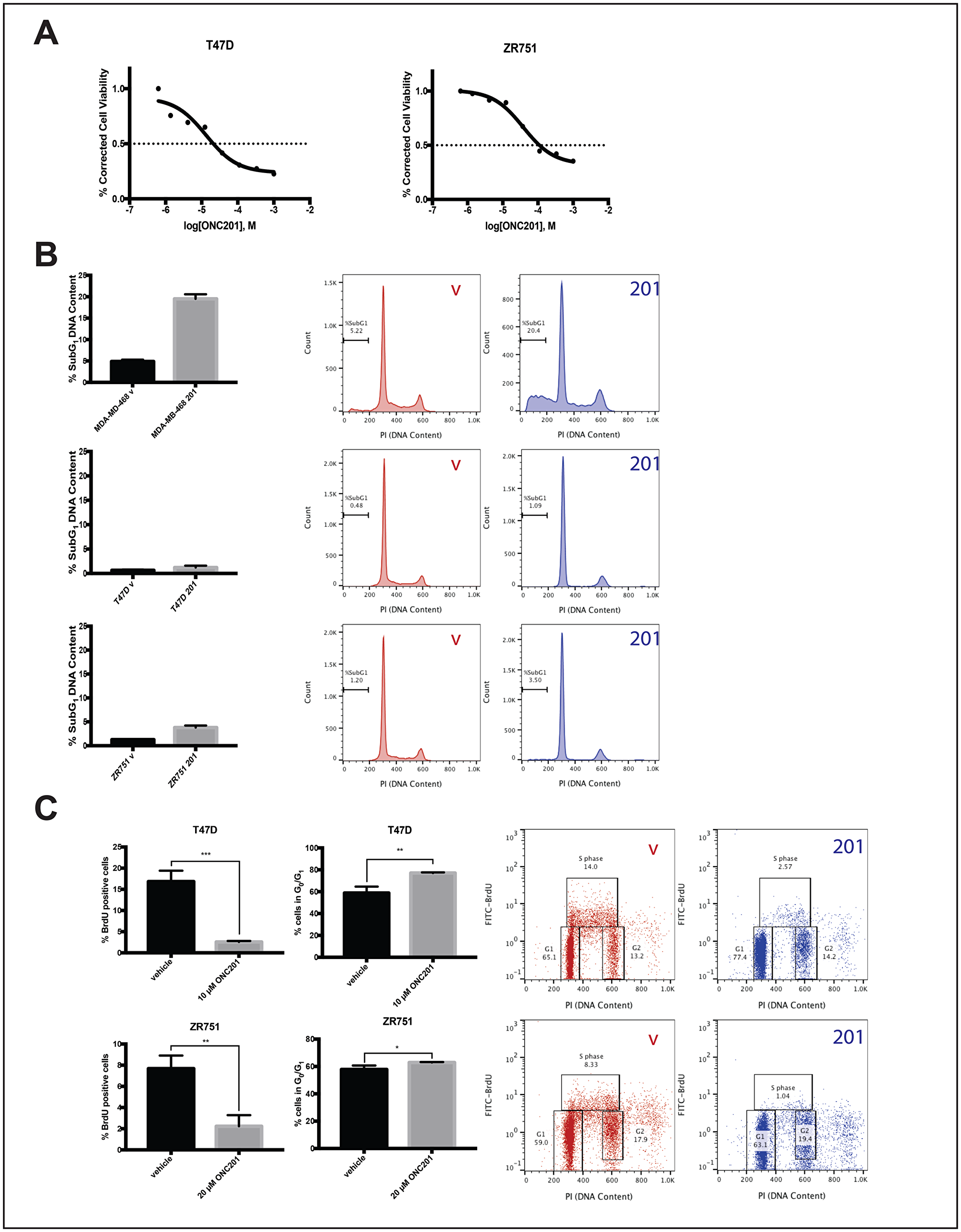 ONC201 inhibits the proliferation but does not induce apoptosis in T47D and ZR751 TRAIL-resistant non-TNBC cells