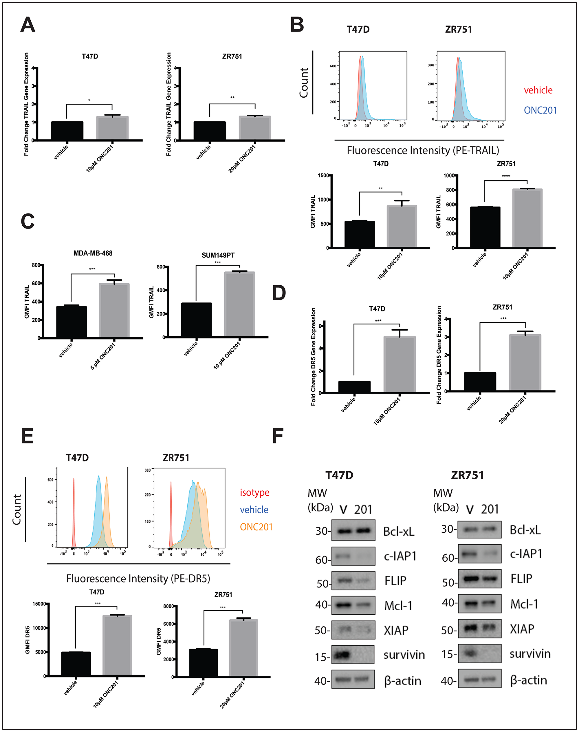 ONC201 treated T47D and ZR751 non-TNBC cells increase TRAIL expression and are primed to undergo TRAIL-dependent apoptosis
