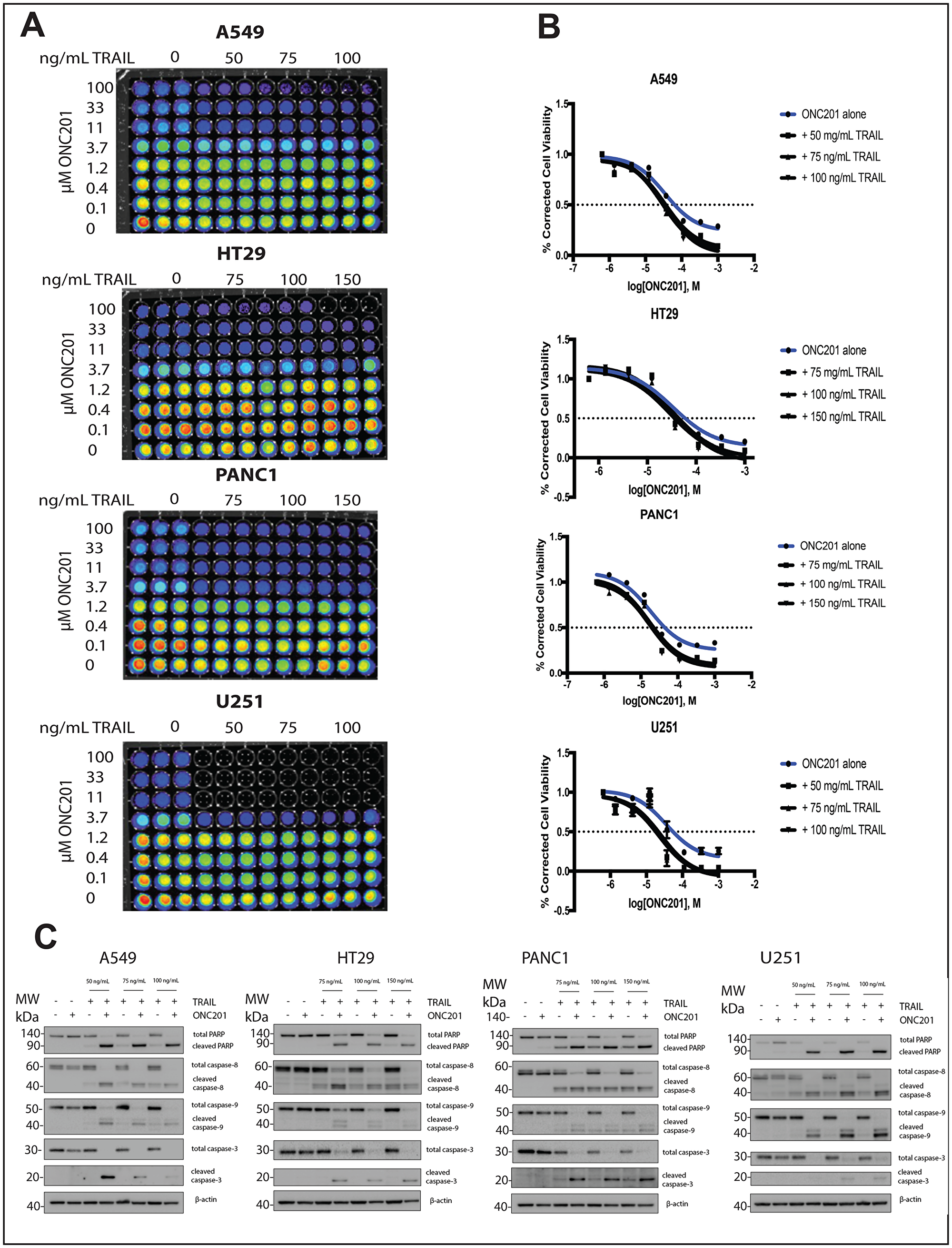 Addition of rhTRAIL converts the response of brain, pancreatic, lung, and colon cancer cells to ONC201 from anti-proliferative to pro-apoptotic