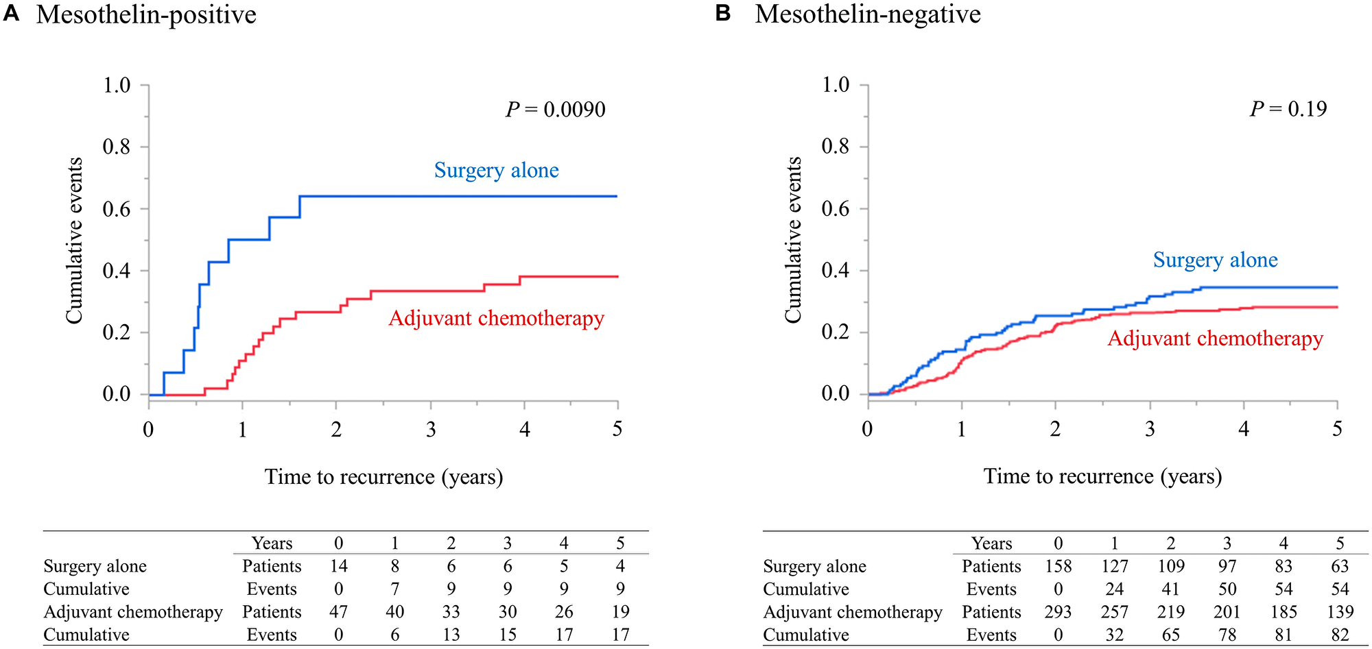 Efficacy of adjuvant chemotherapy according to MSLN expression
