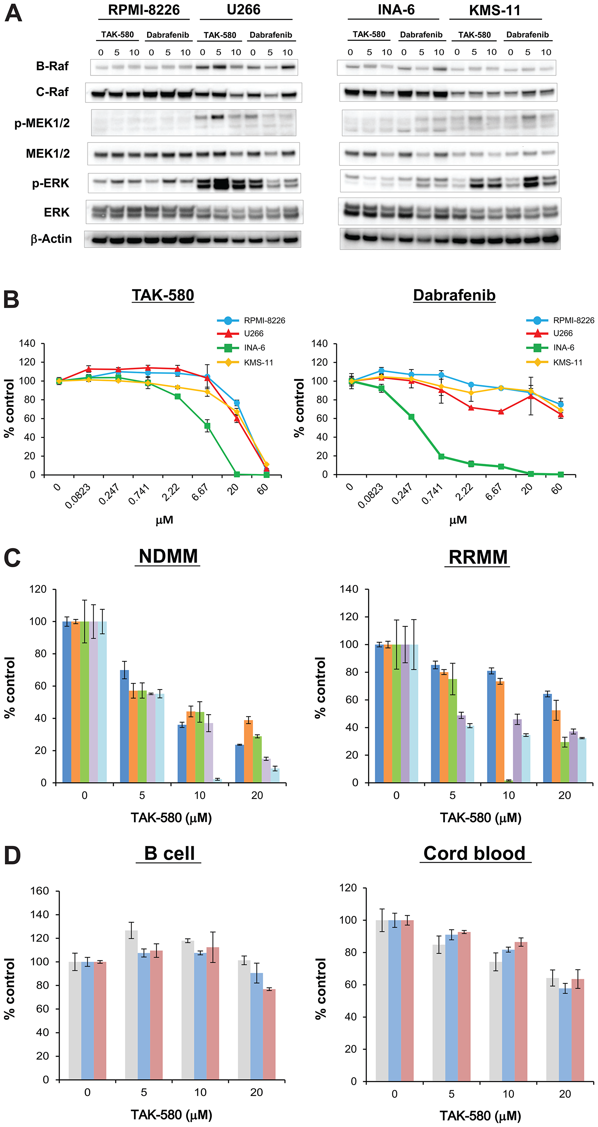 TAK-580 specifically inhibits the RAS-RAF-MEK-ERK pathway and induces anti-myeloma effects in MM cells