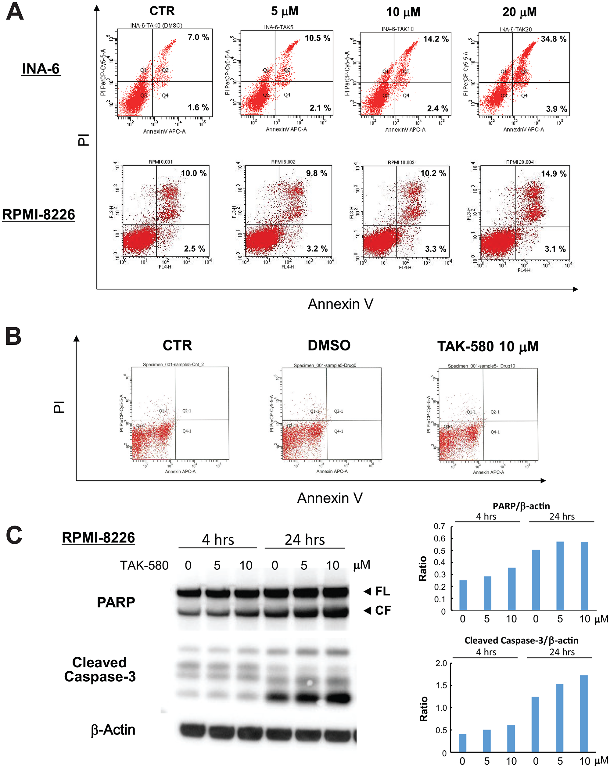 TAK-580 induces apoptosis in MM cells