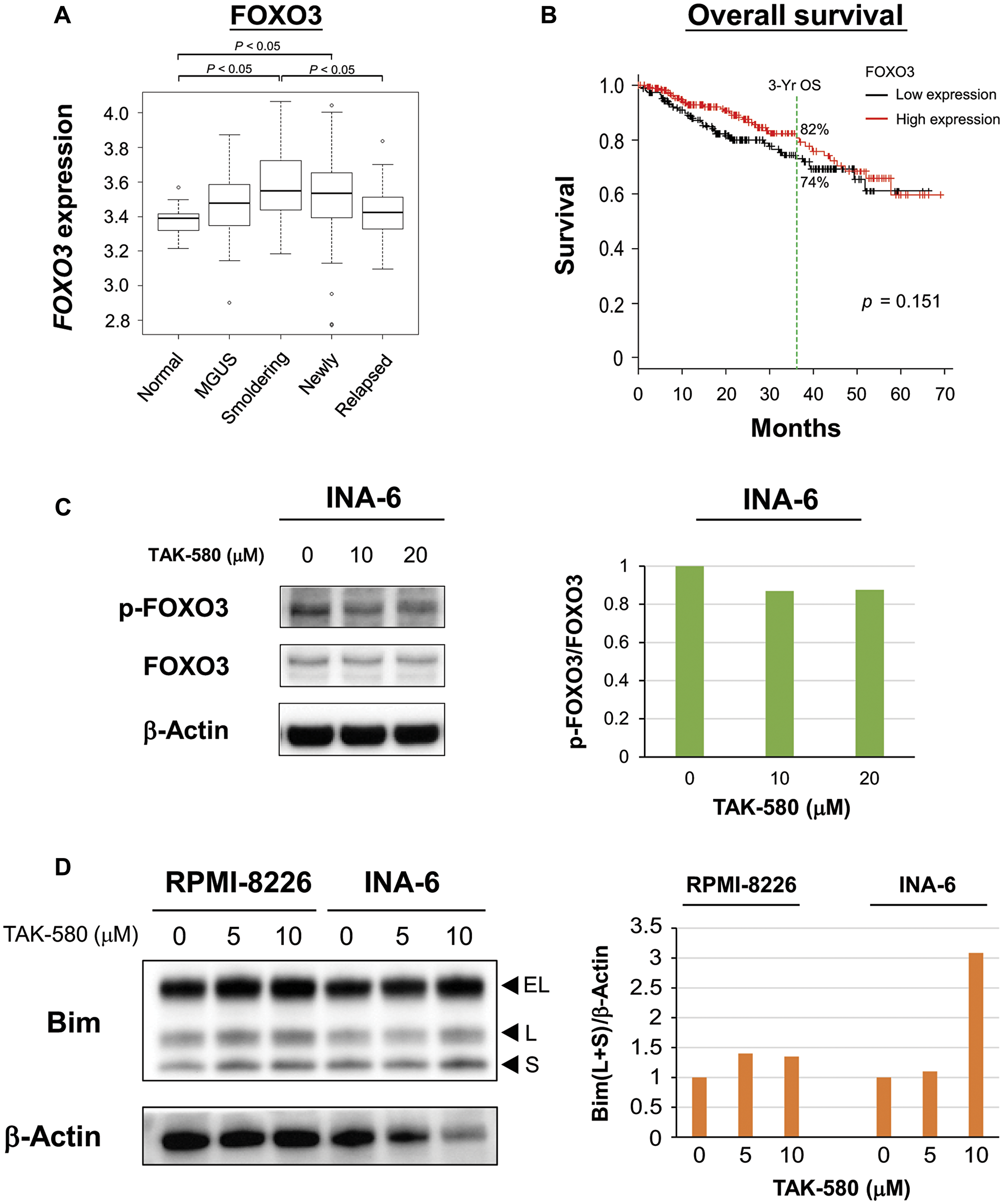 TAK-580 induces apoptosis via the FOXO3-Bim axis in MM cells
