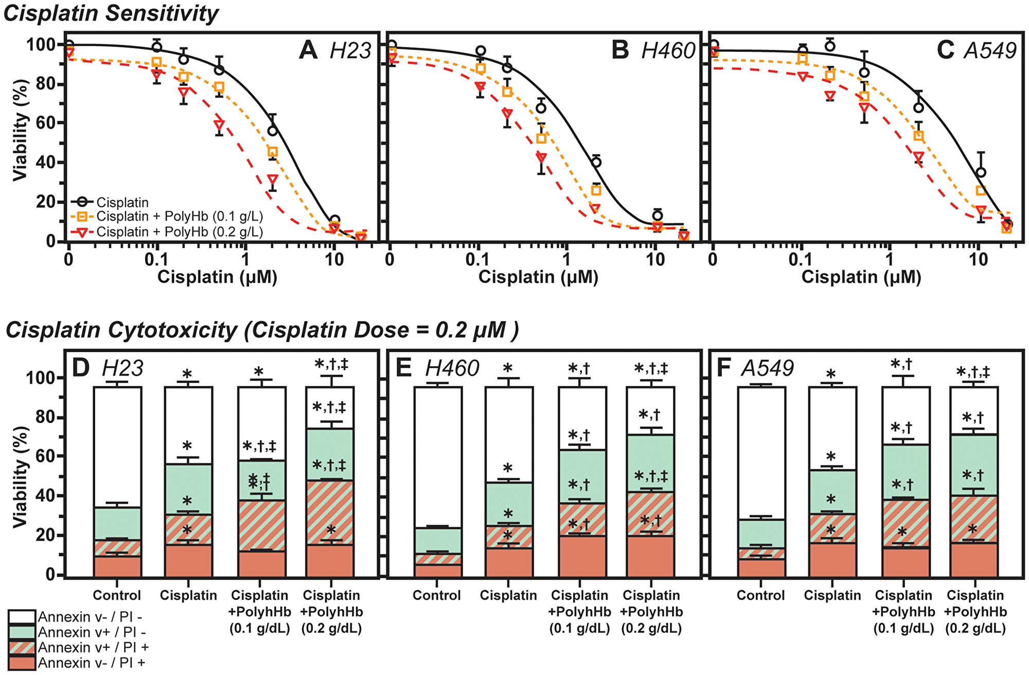 Effects of Cisplatin and PolyHb on cell viability and cytotoxicity