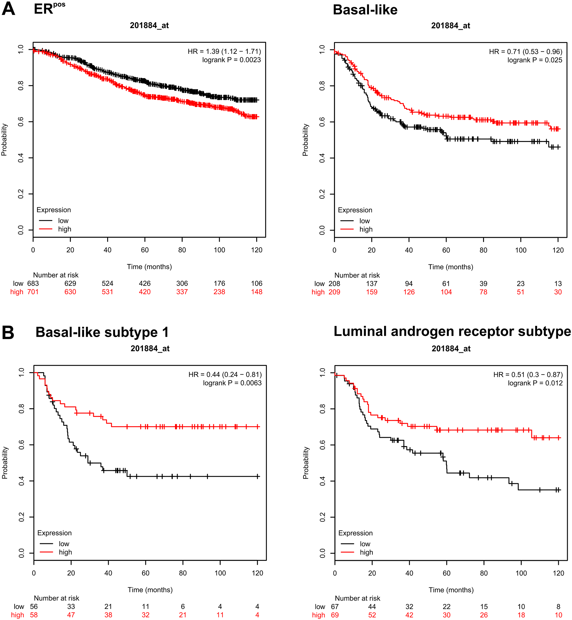 The clinical significance of CEACAM5 expression varies with breast tumor subtype