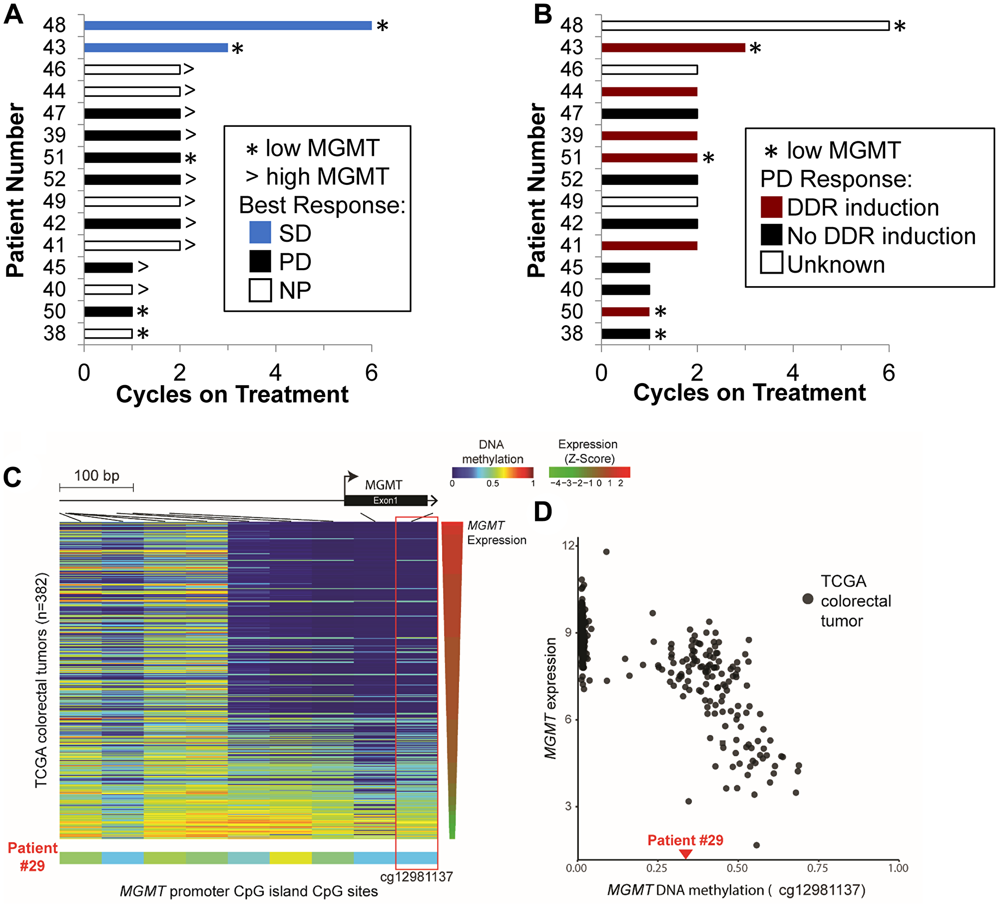 MGMT status and pharmacodynamic response