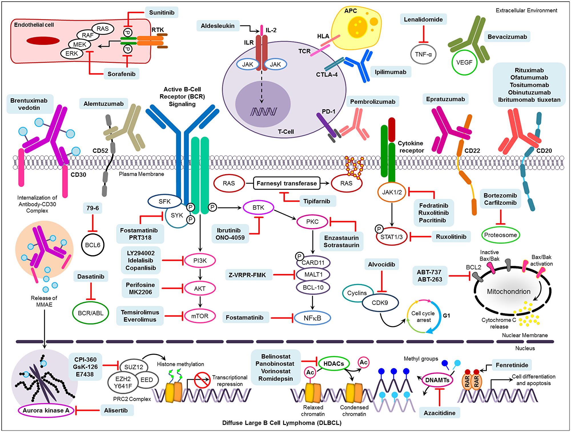 Novel drug targets and pharmacological therapies under investigation for the treatment of DLBCL