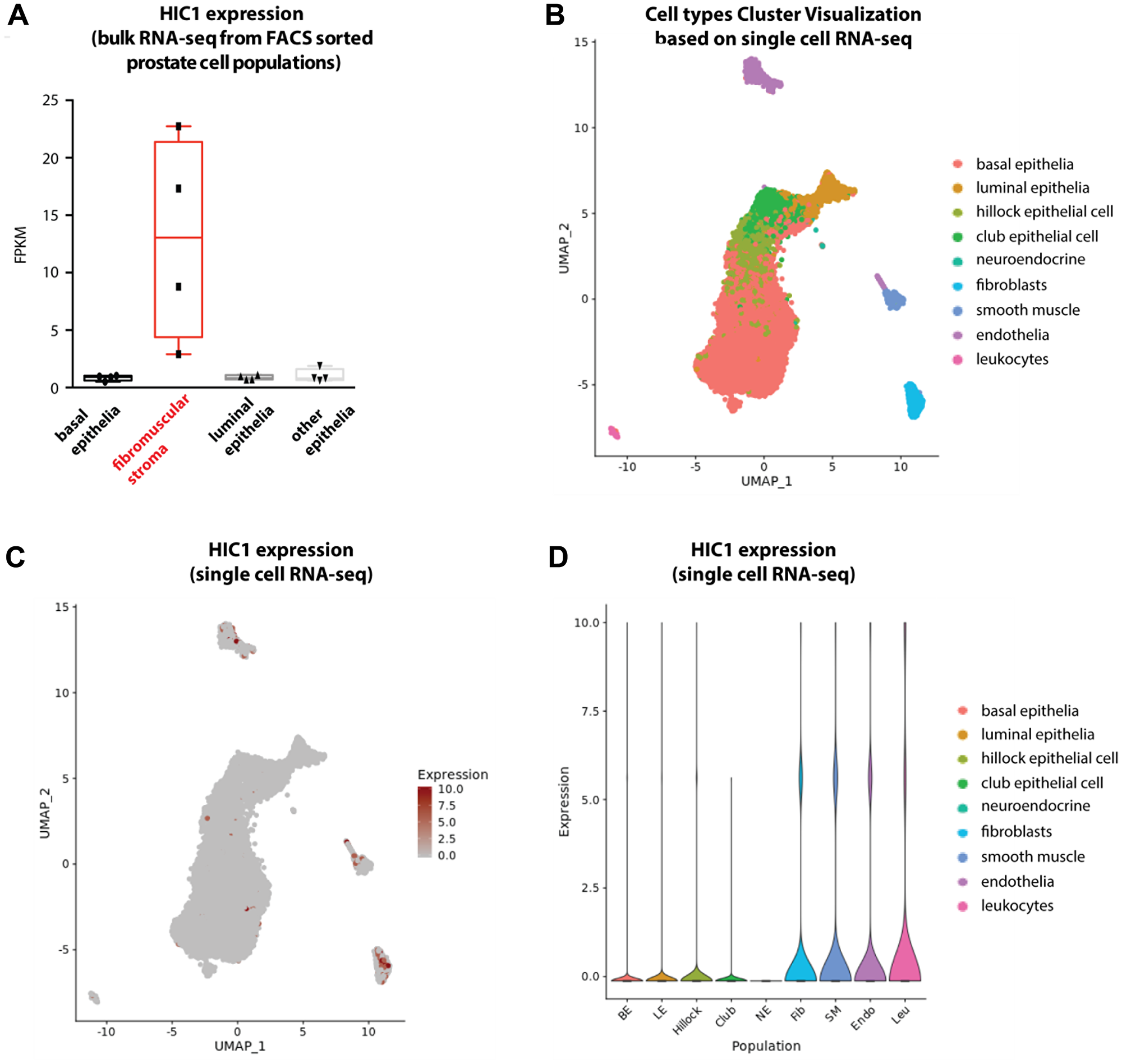 Analyses of HIC1 expression in normal human prostate tissue by bulk RNA-sequencing and single cell RNA-sequencing