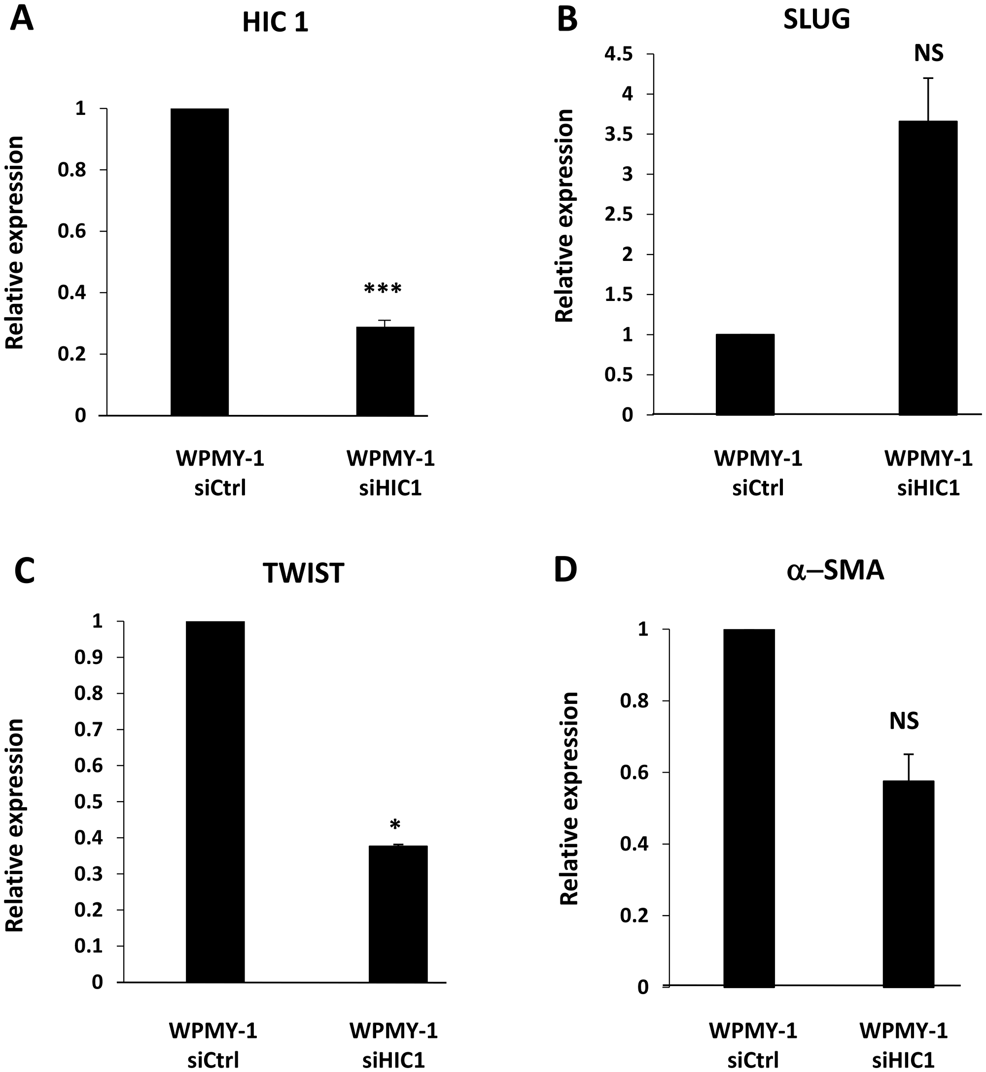 HIC1 regulates the expression of the EMT-inducing transcription factor SLUG in the myofibroblastic cell line WPMY-1