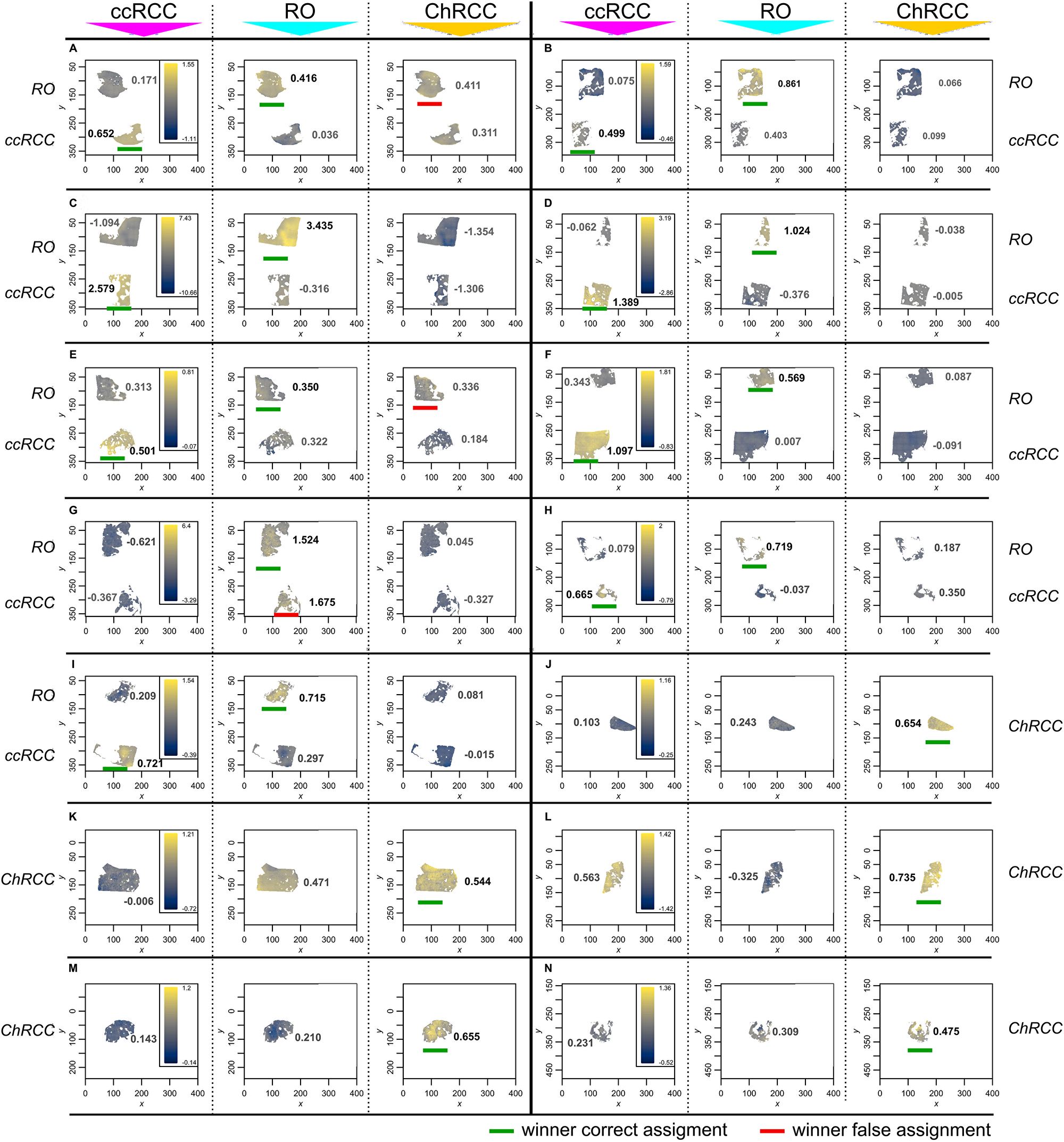 Tumor classification by MALDI MS imaging and cross-validation using PLS-DA classification