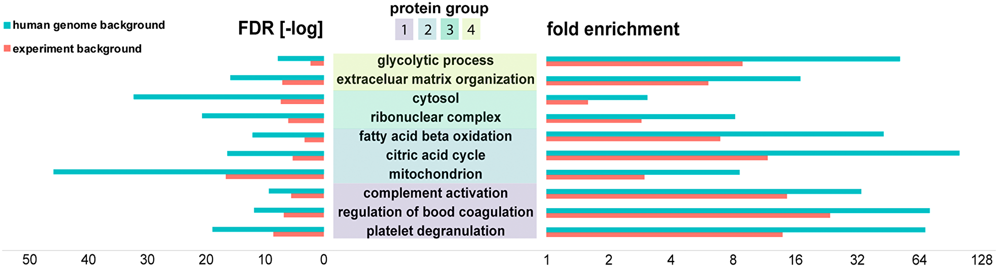 Bioinformatics analysis (PantherDB) identified enriched biochemical functions in renal tumors