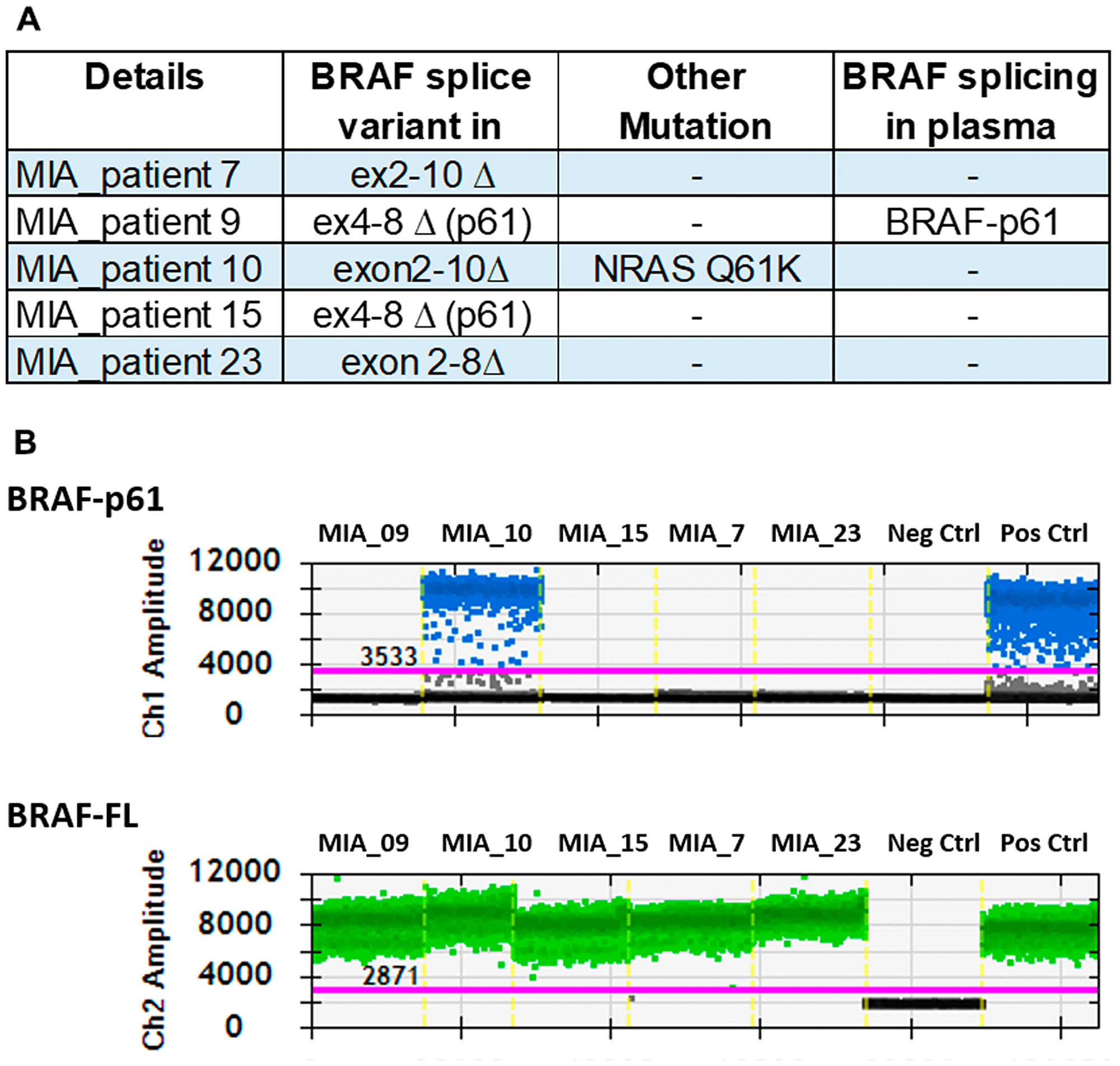 Detection of BRAF splice variants in patients known to have the splice variant