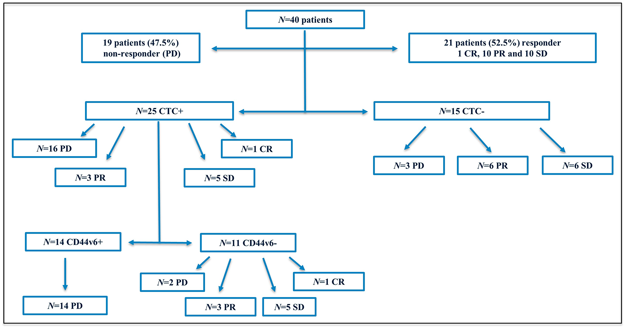 Flow diagram of the study