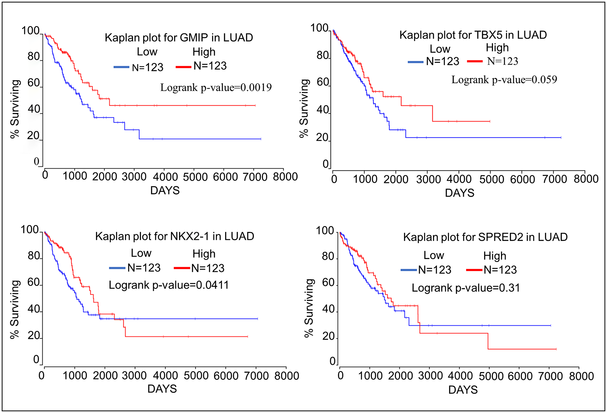 Kaplan–Meier plots showing the relationship of tumor suppressor gene expression to lung cancer patient survival using data from TCGA