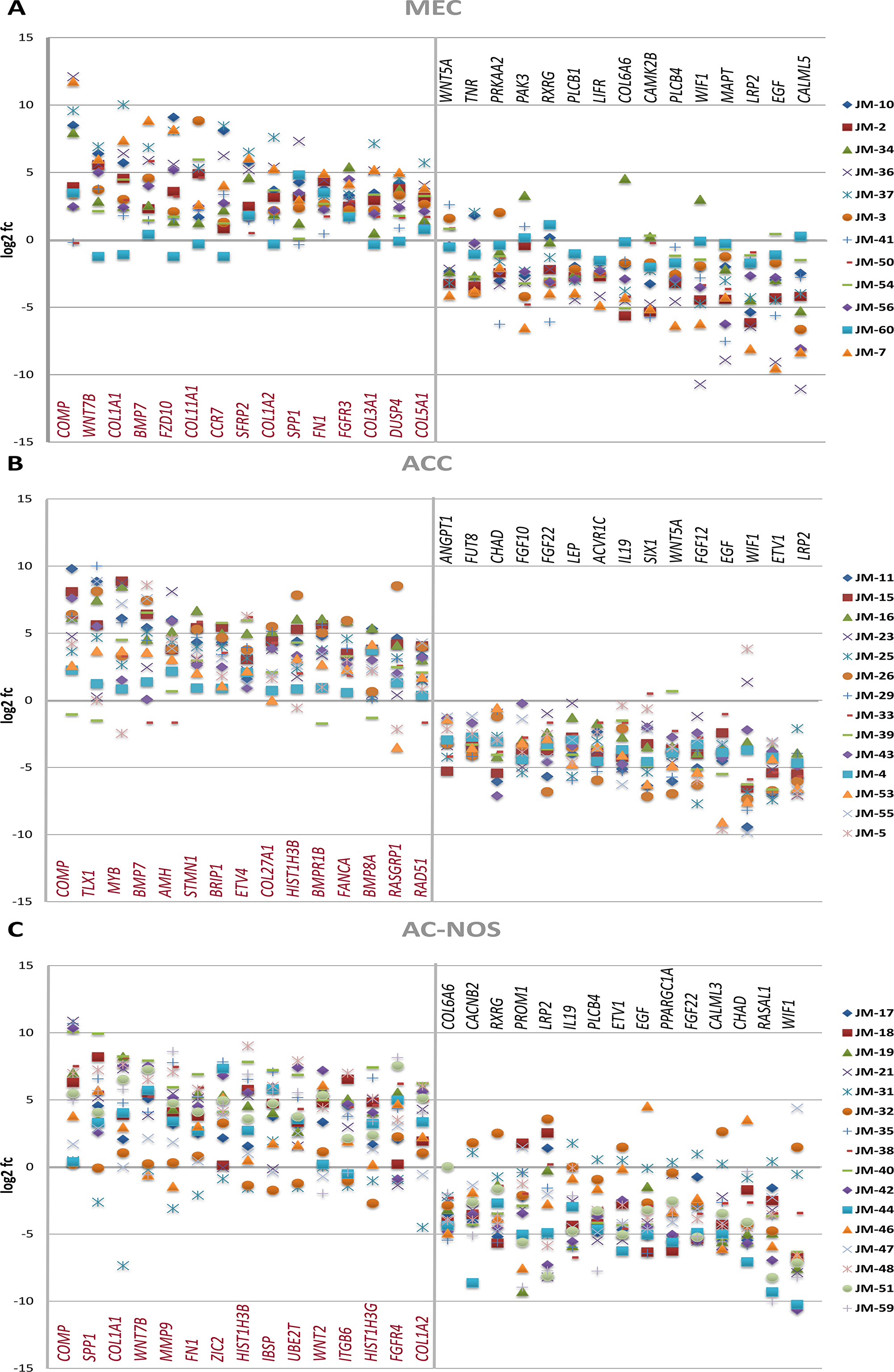 Gene expression of MEC (A), ACC (B) and AC-NOS (C) of individual tumor patient samples compared to their corresponding non-tumor sample expressed as log2 fc (fold change Tumor vs Non-Tumor). Patient samples (JM No.) are represented by colored markings (see legend).