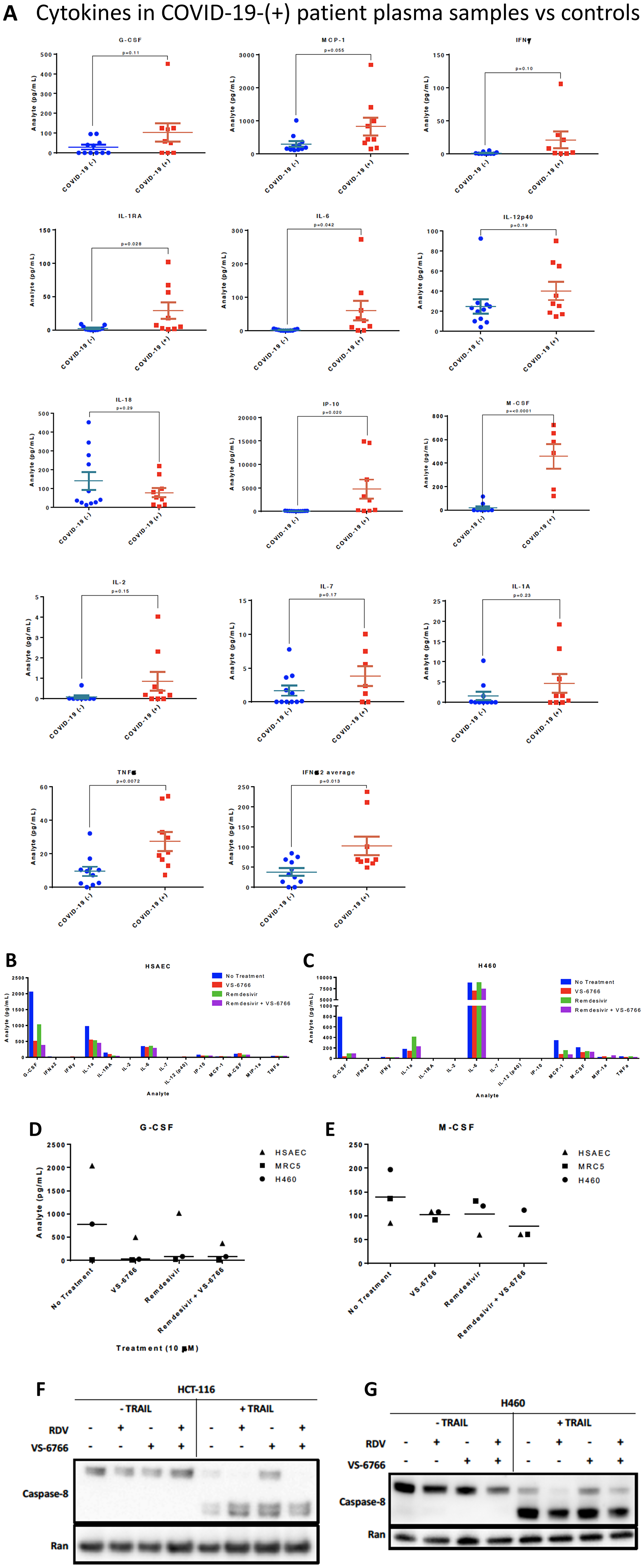 Increased cytokines in COVID-(+) patient plasma and demonstration that VS-6766 plus remdesivir reduces cytokine secretion while allowing TRAIL mediated killing of target cells