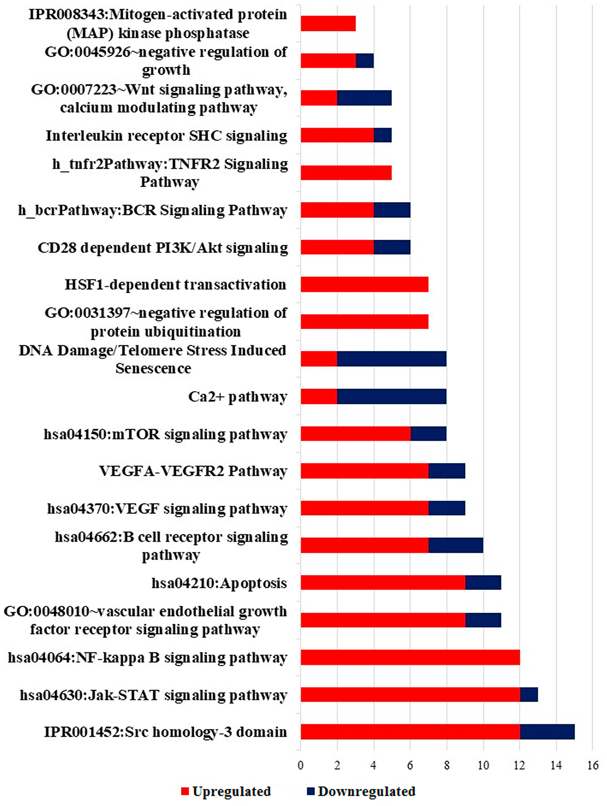 Significantly enriched pathway terms in DEGs
