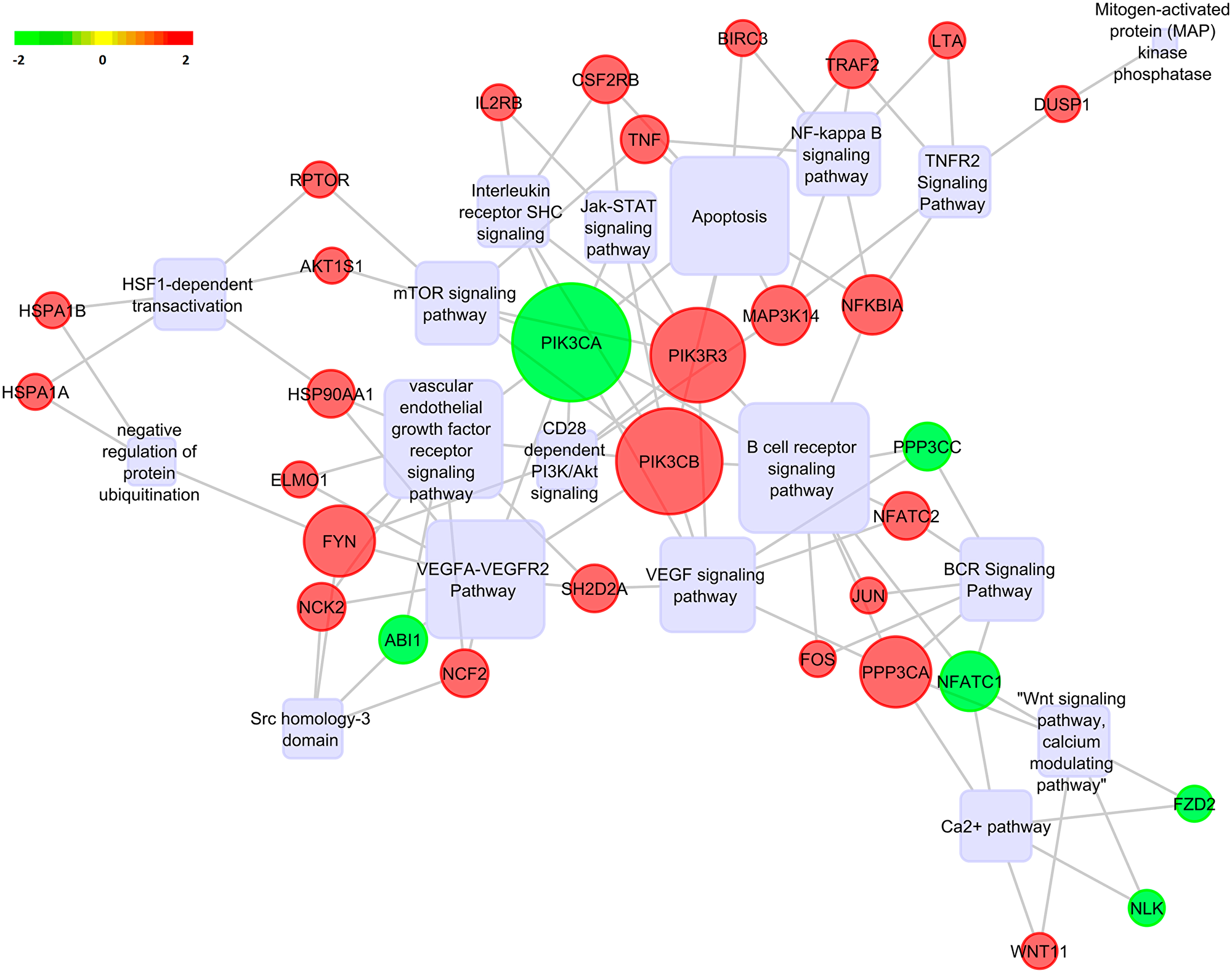 Pathway analysis