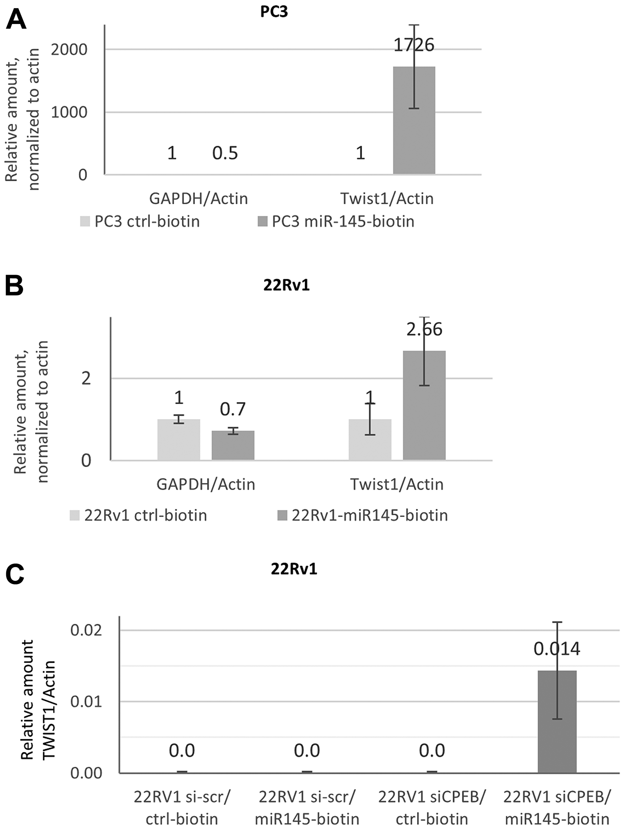 Mir-145-5p interaction with TWIST1 mRNA depends on CPEB1 in prostate cancer cell lines