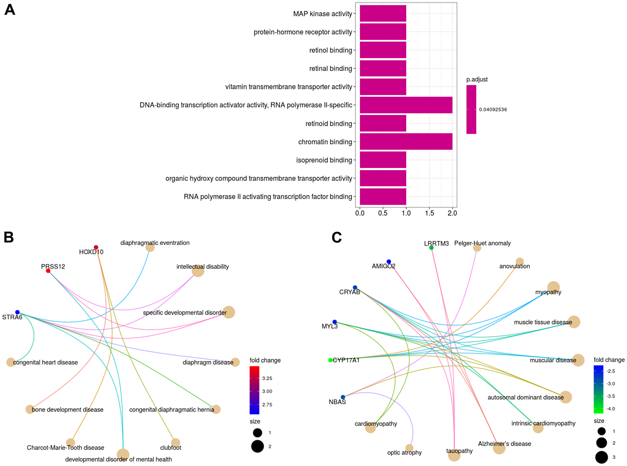 Gene and disease enrichment analyses