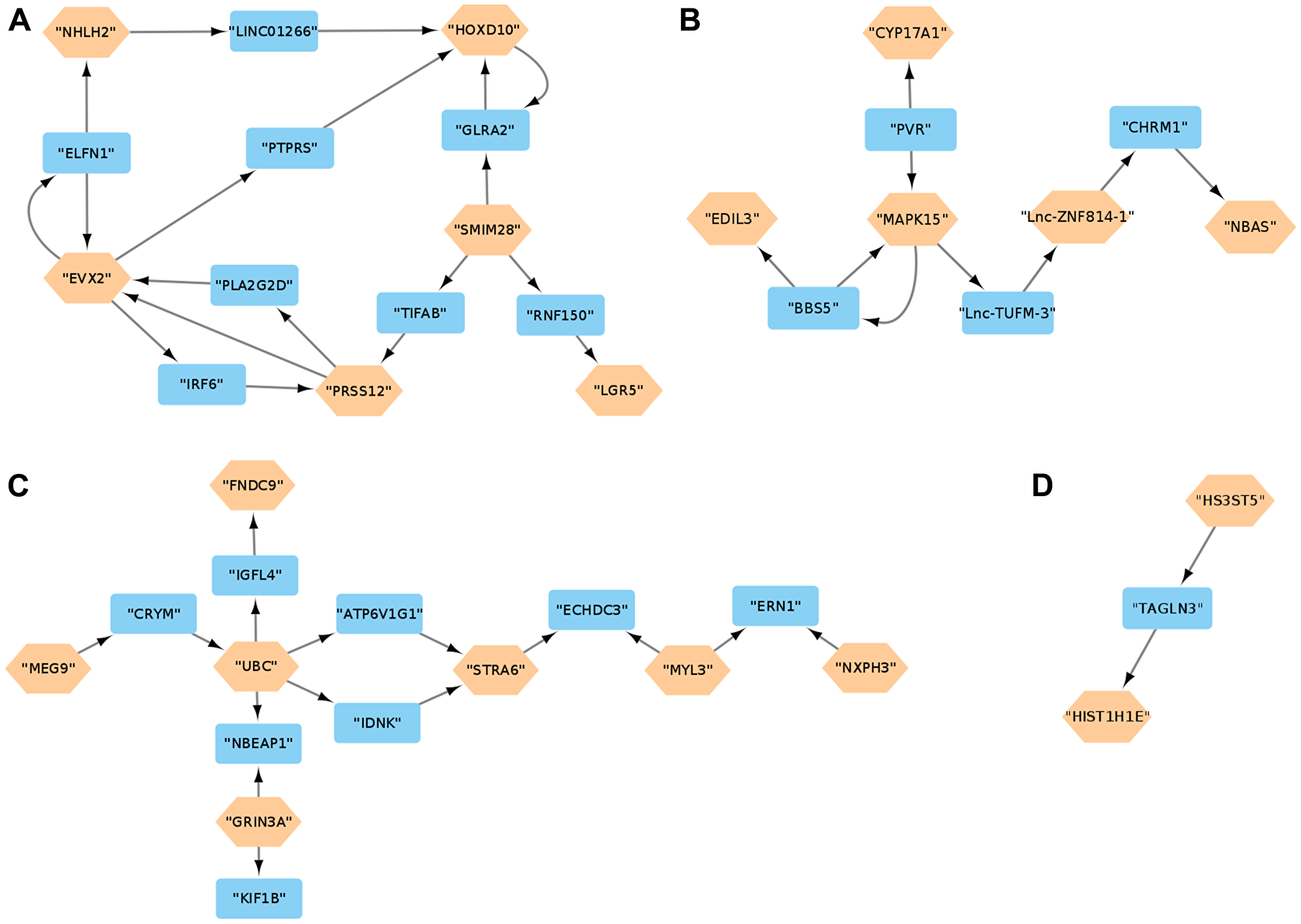 (A–D) Gene Regulatory Network Analysis. Regulatory networks for the DEG interactions in the SS group. The brown hexagonal nodes are DEGs and the blue rectangles are intermediate genes connecting two DEGs. DEGs that do not interact with other DEGs are omitted.