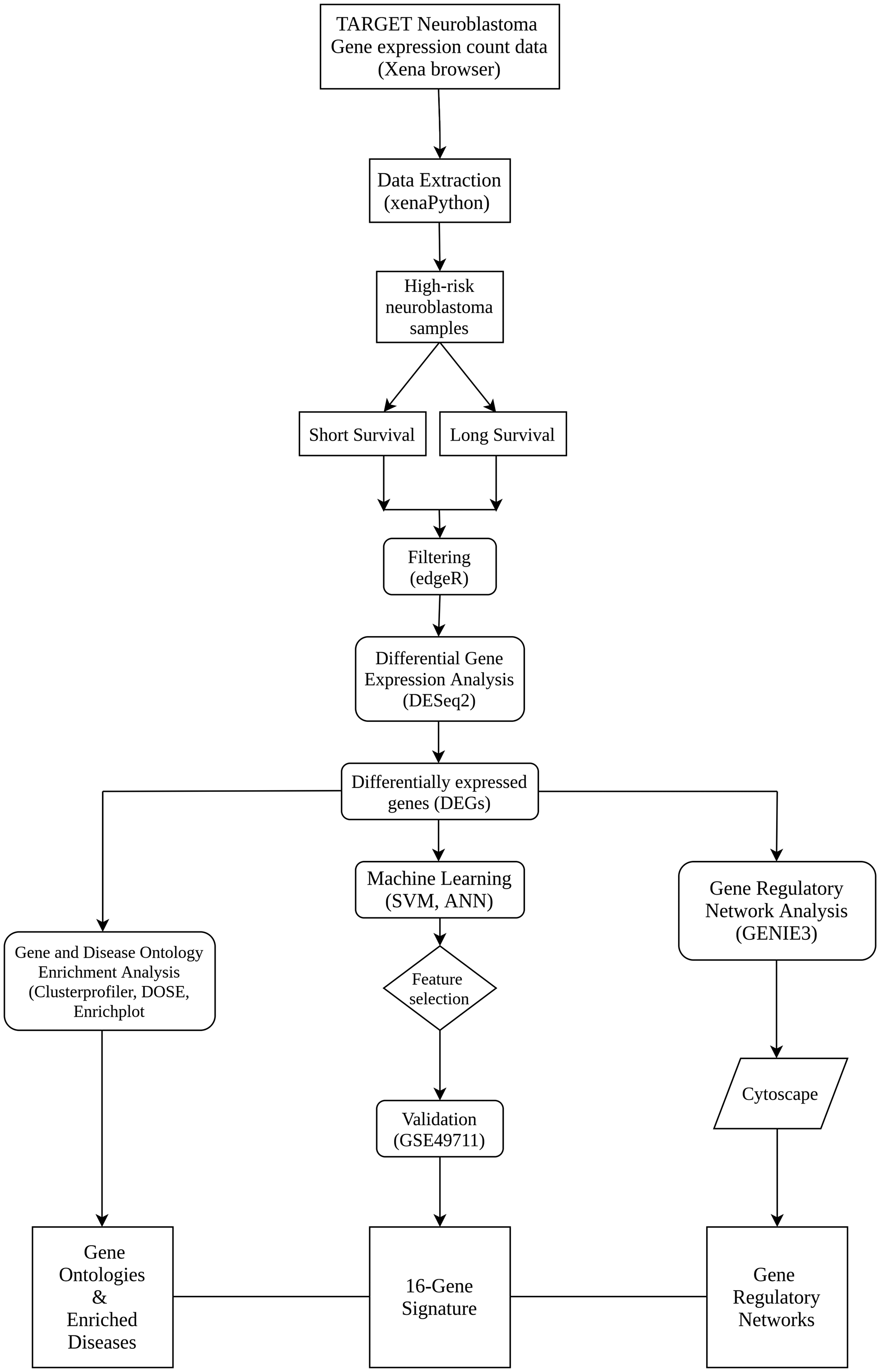 Workflow outlining the steps and methods undertaken in this study
