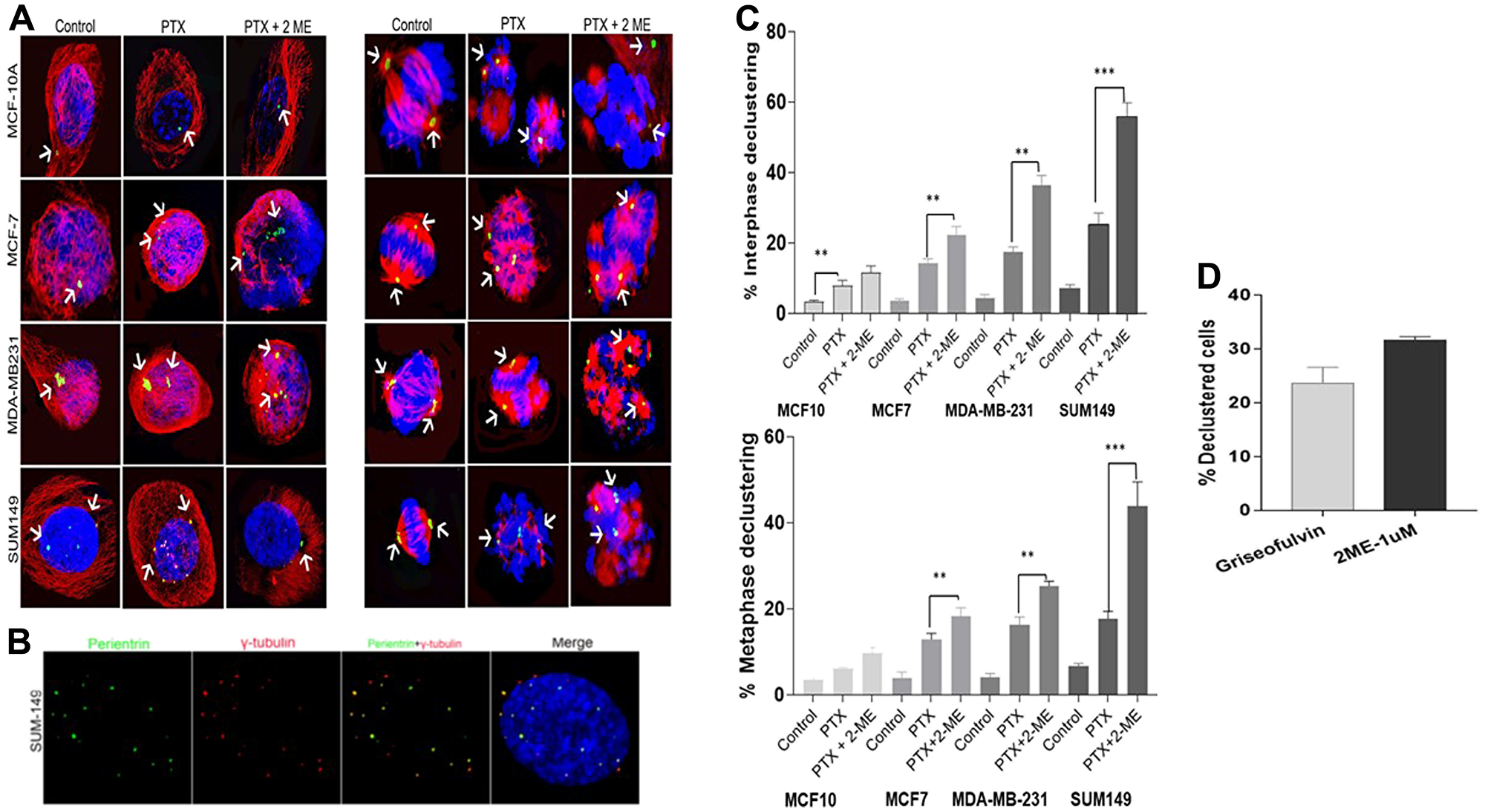 Centrosome declustering using gamma-tubulin to differentiate between centrosome declustering and centrosome fragmentation