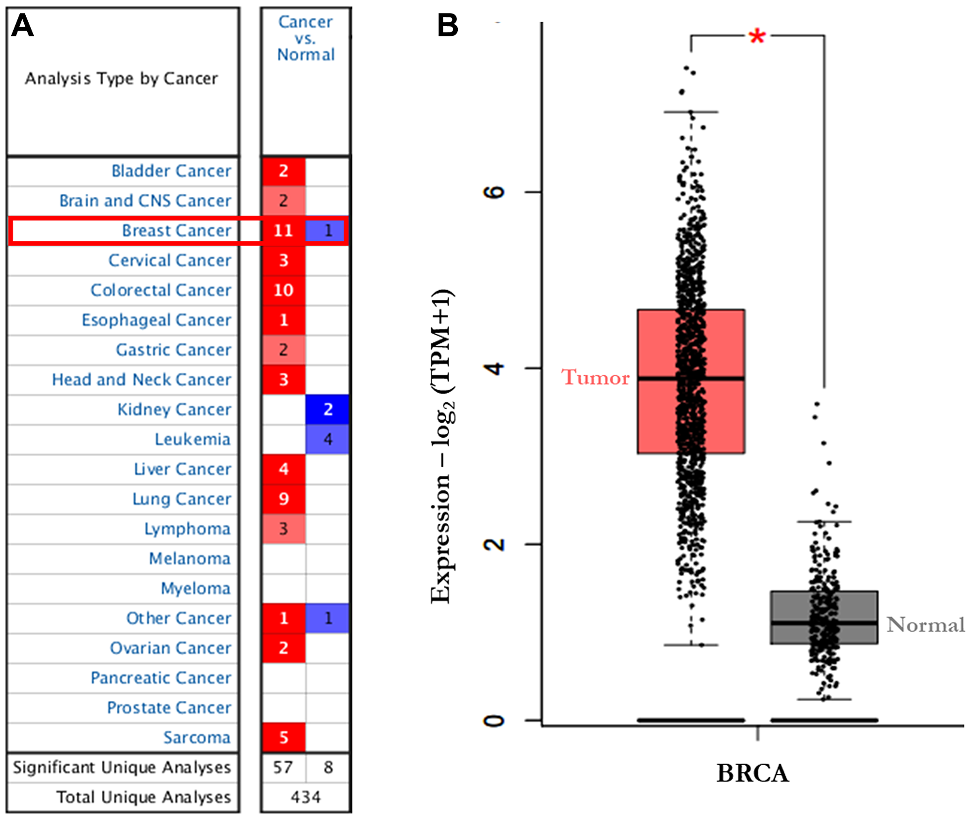 The transcription levels of AURKA in different types of cancers (Oncomine)