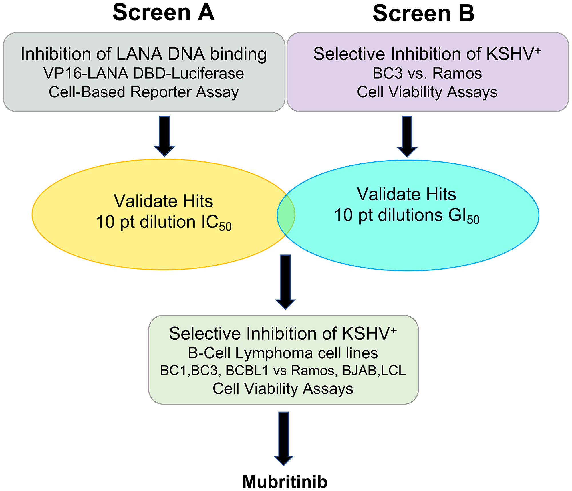 Drug screening strategy